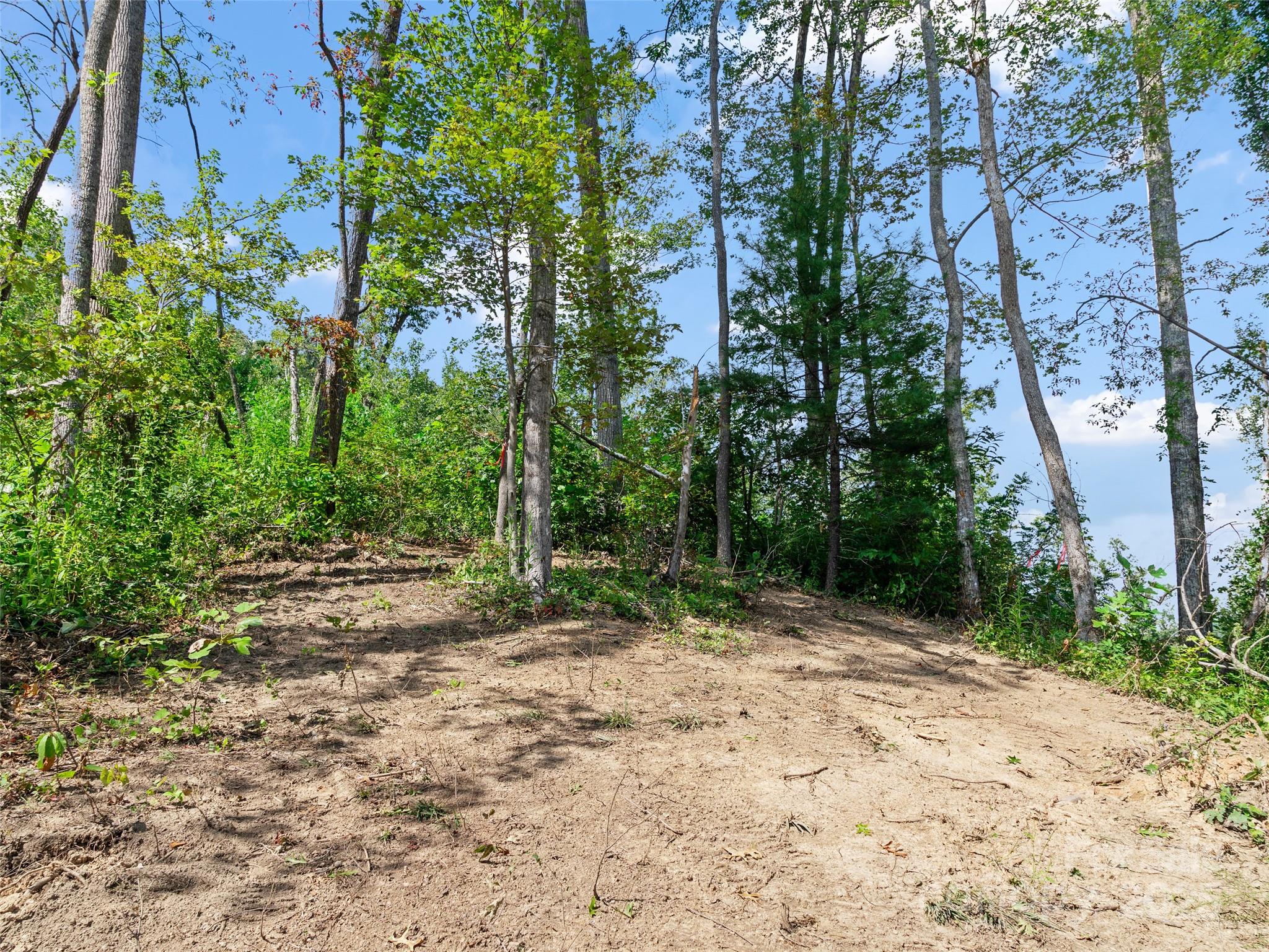 99999 Youngs Gap Road South Lot Property Photo 6