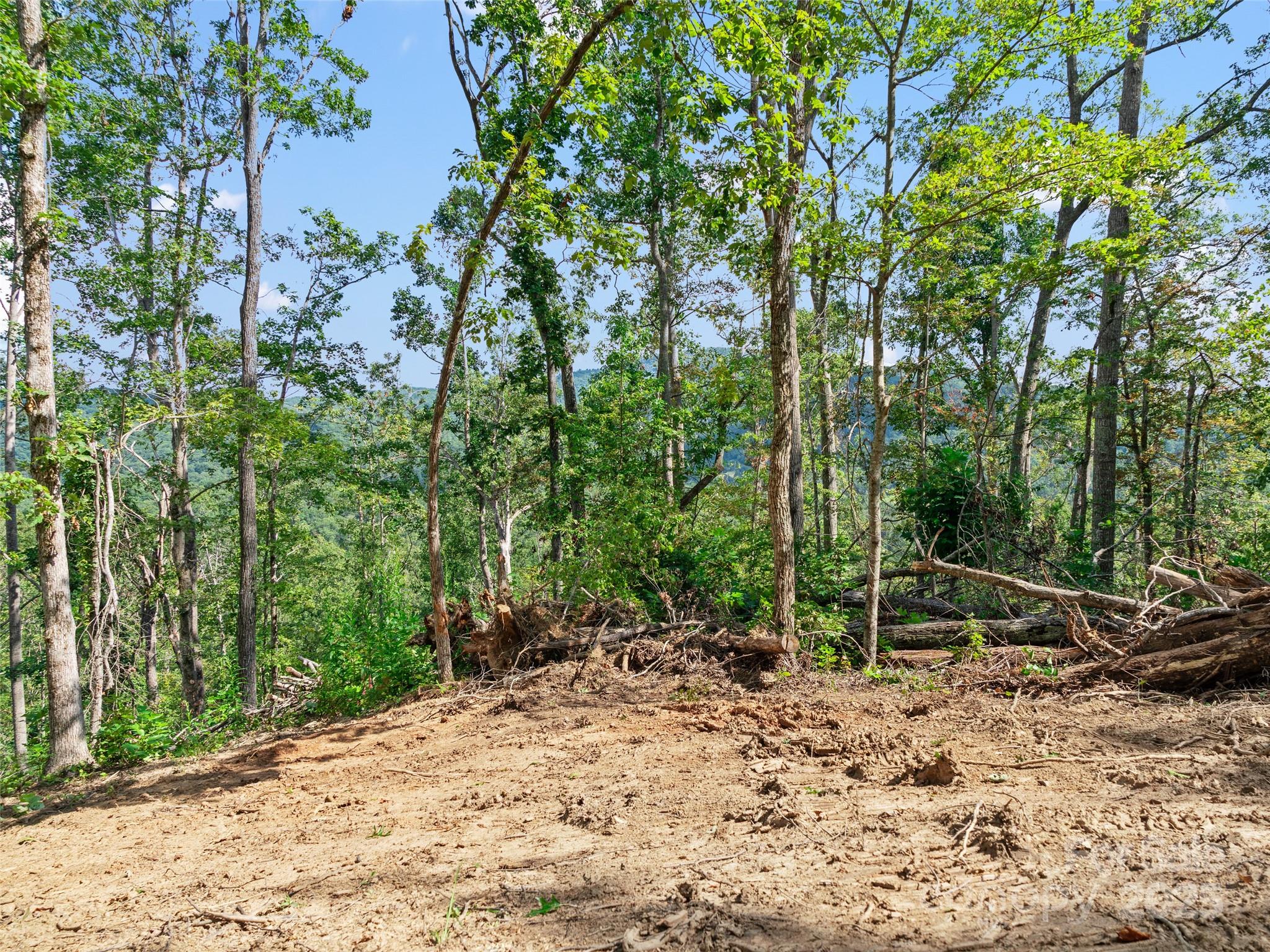 99999 Youngs Gap Road South Lot Property Photo 7