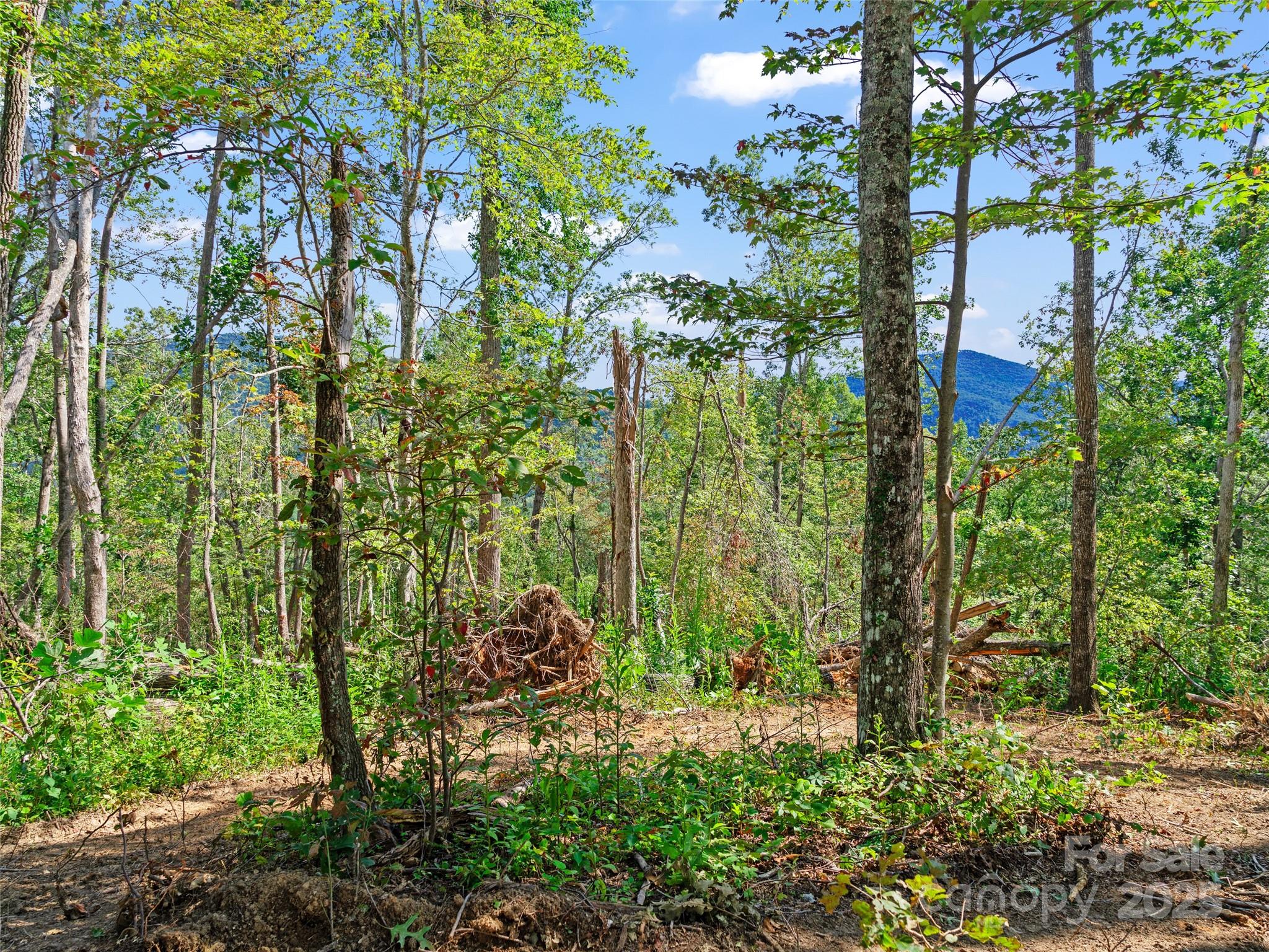 99999 Youngs Gap Road South Lot Property Photo 8