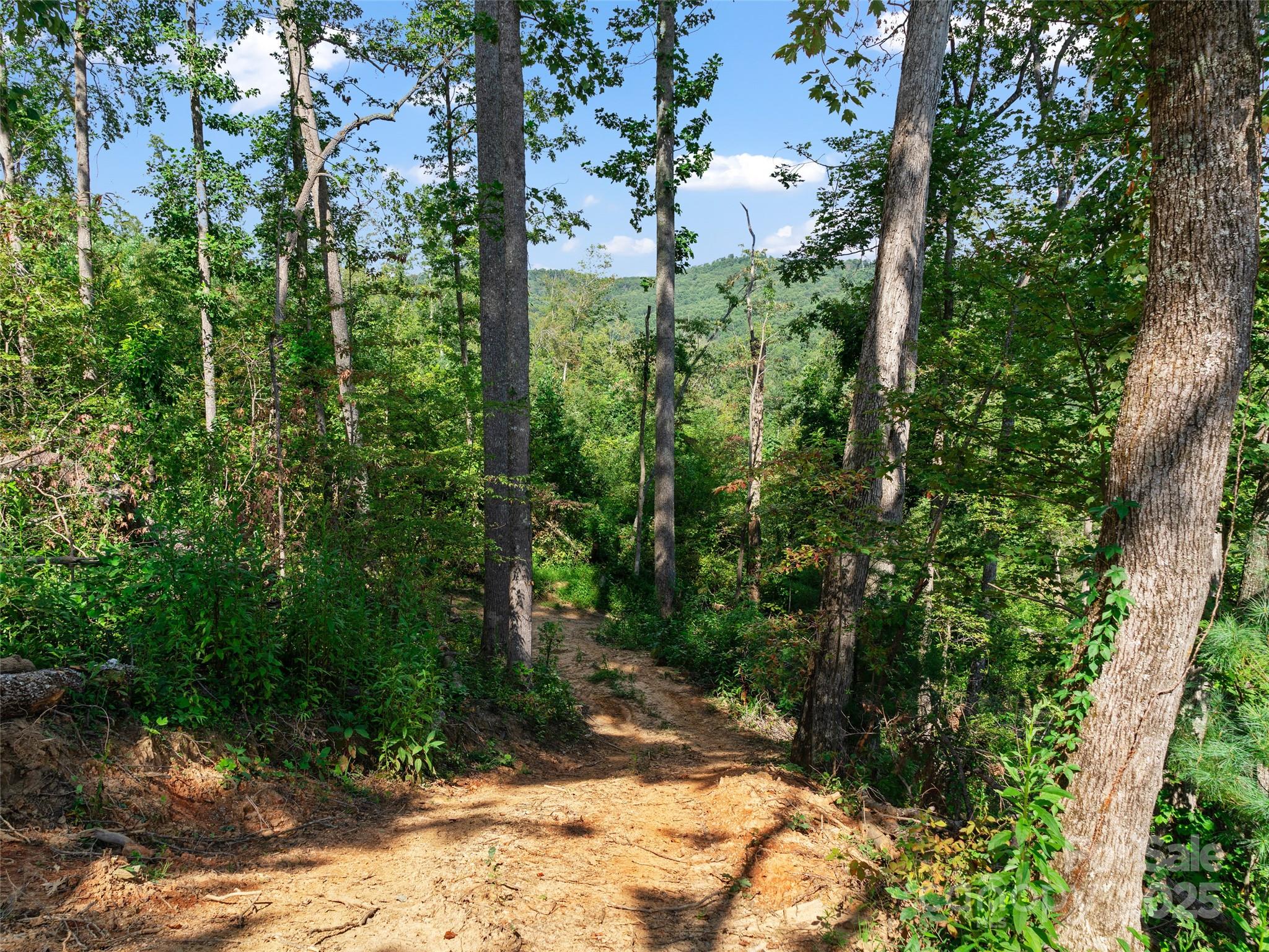 99999 Youngs Gap Road South Lot Property Photo 9