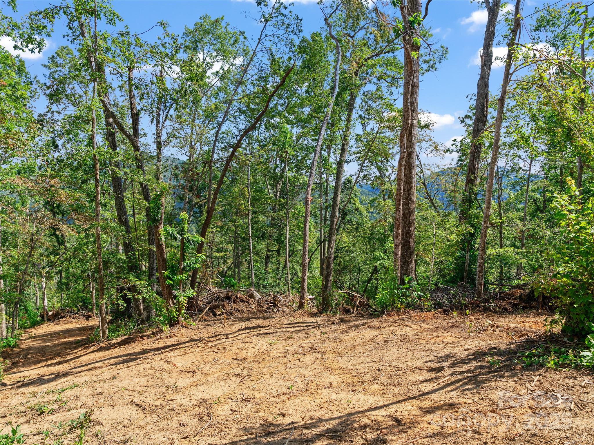 99999 Youngs Gap Road South Lot Property Photo 10