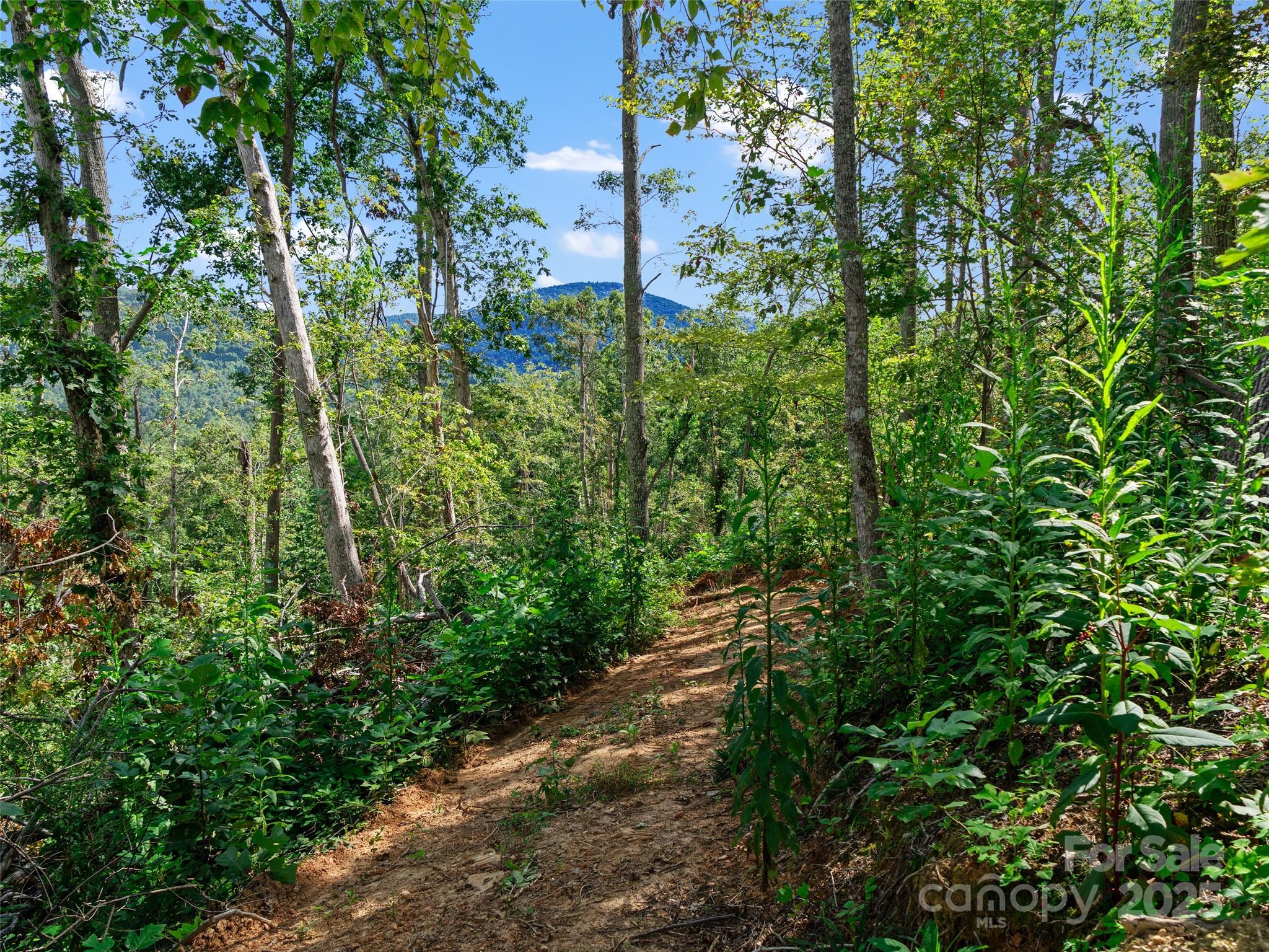 99999 Youngs Gap Road South Lot Property Photo 15