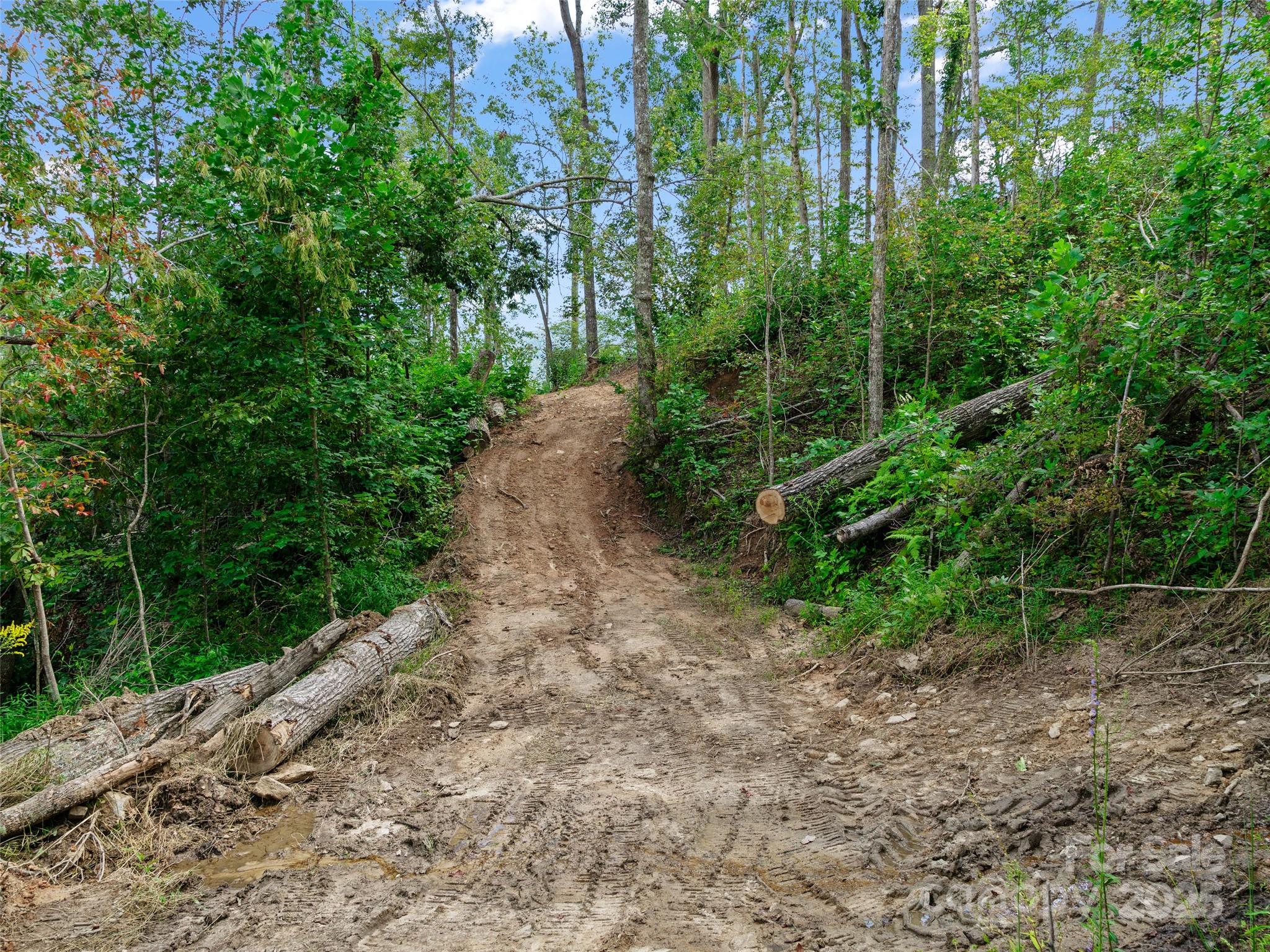 99999 Youngs Gap Road South Lot Property Photo 19