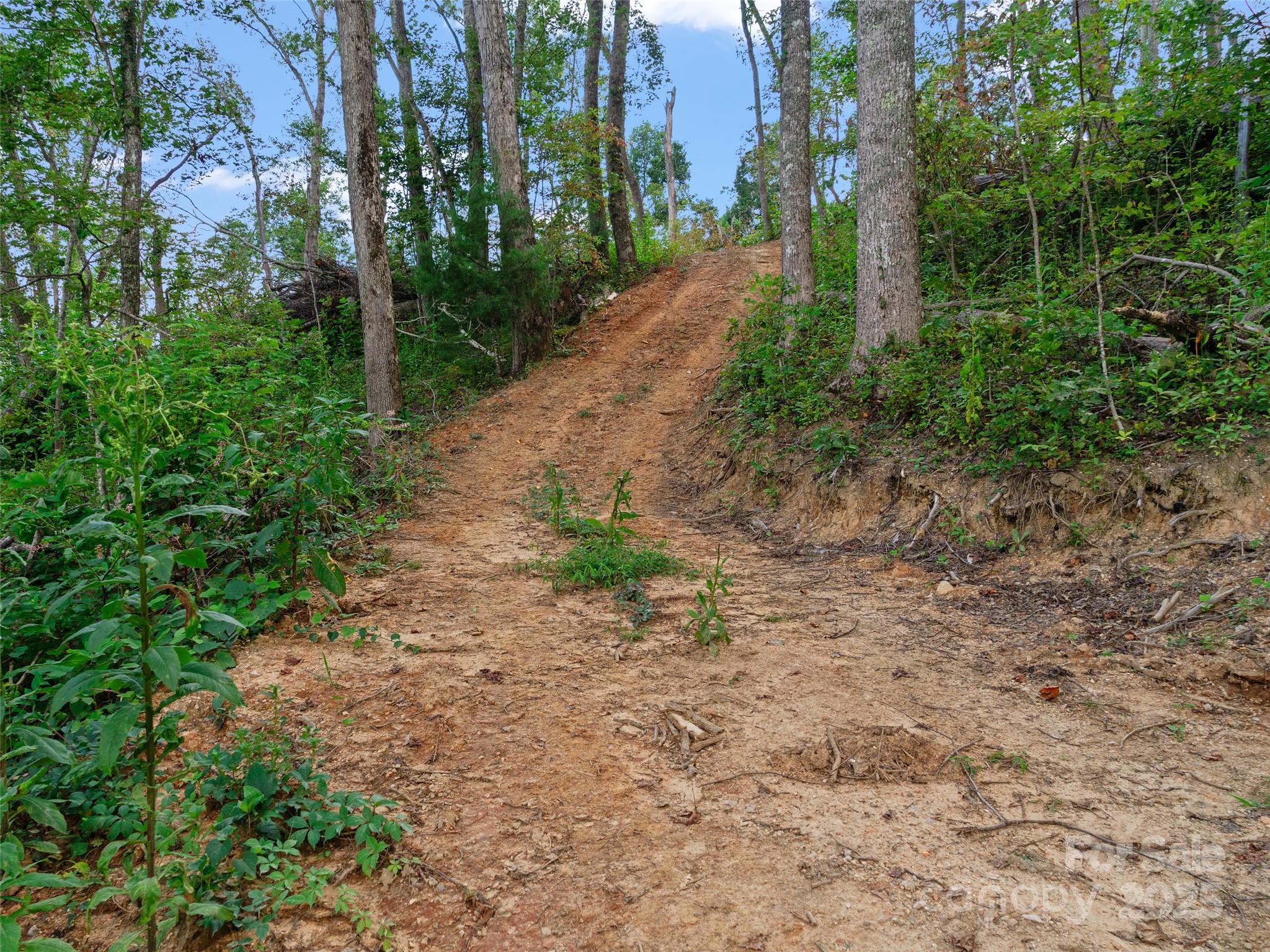 99999 Youngs Gap Road South Lot Property Photo 20
