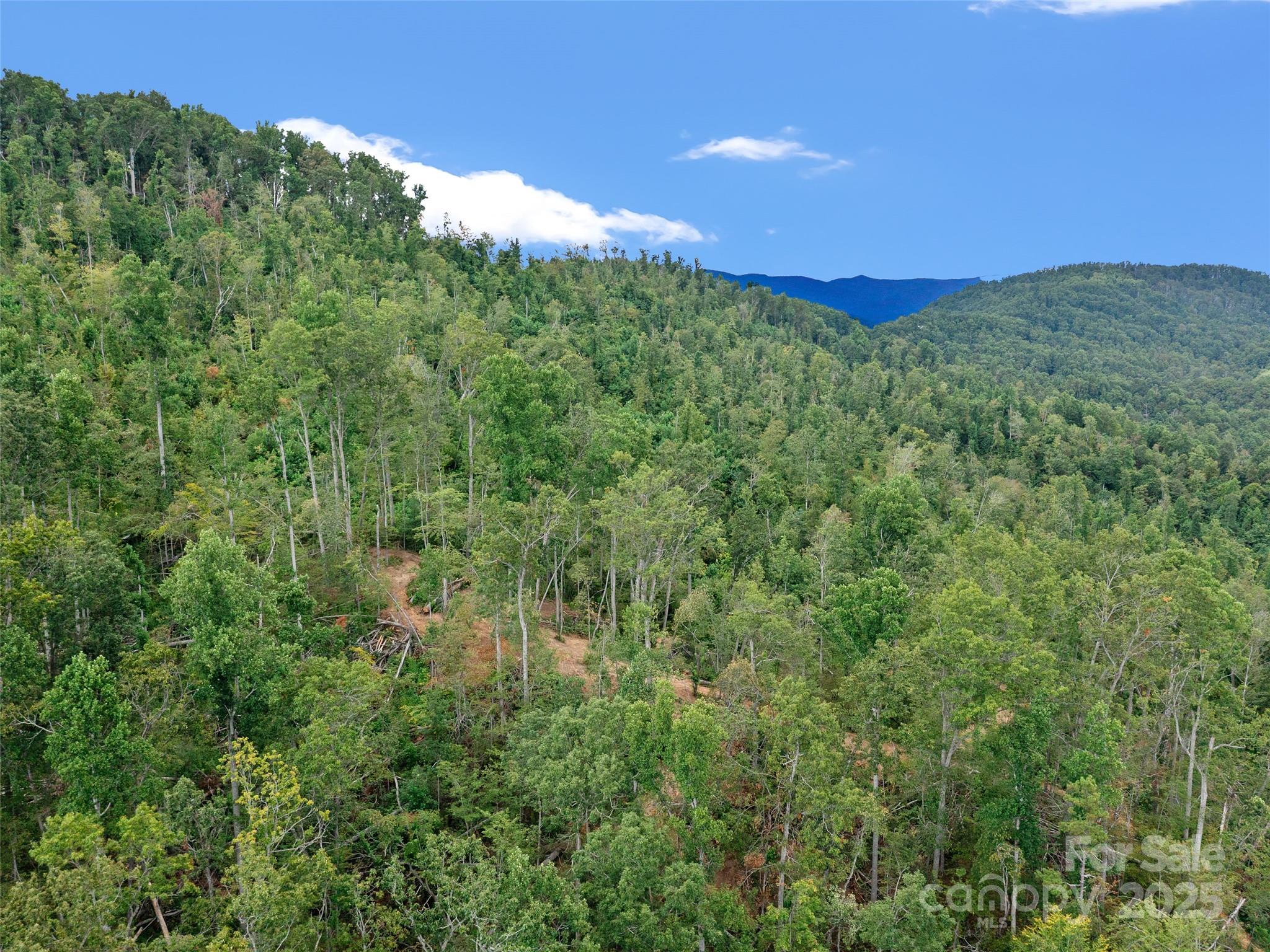 99999 Youngs Gap Road South Lot Property Photo 22