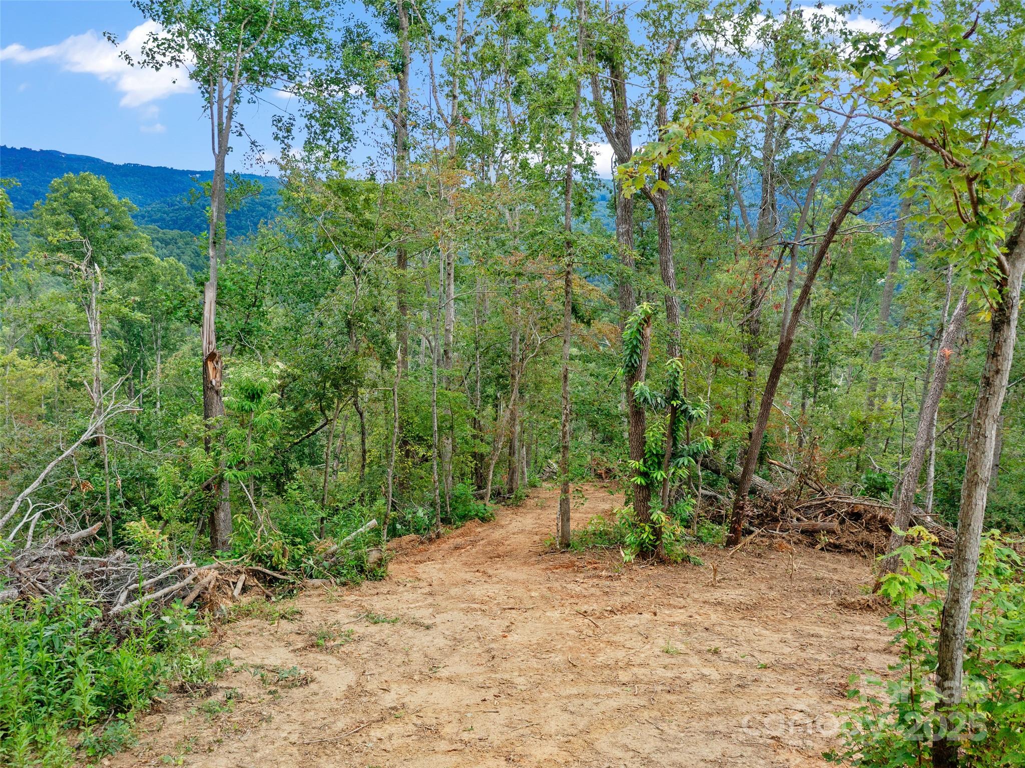 99999 Youngs Gap Road South Lot Property Photo 25