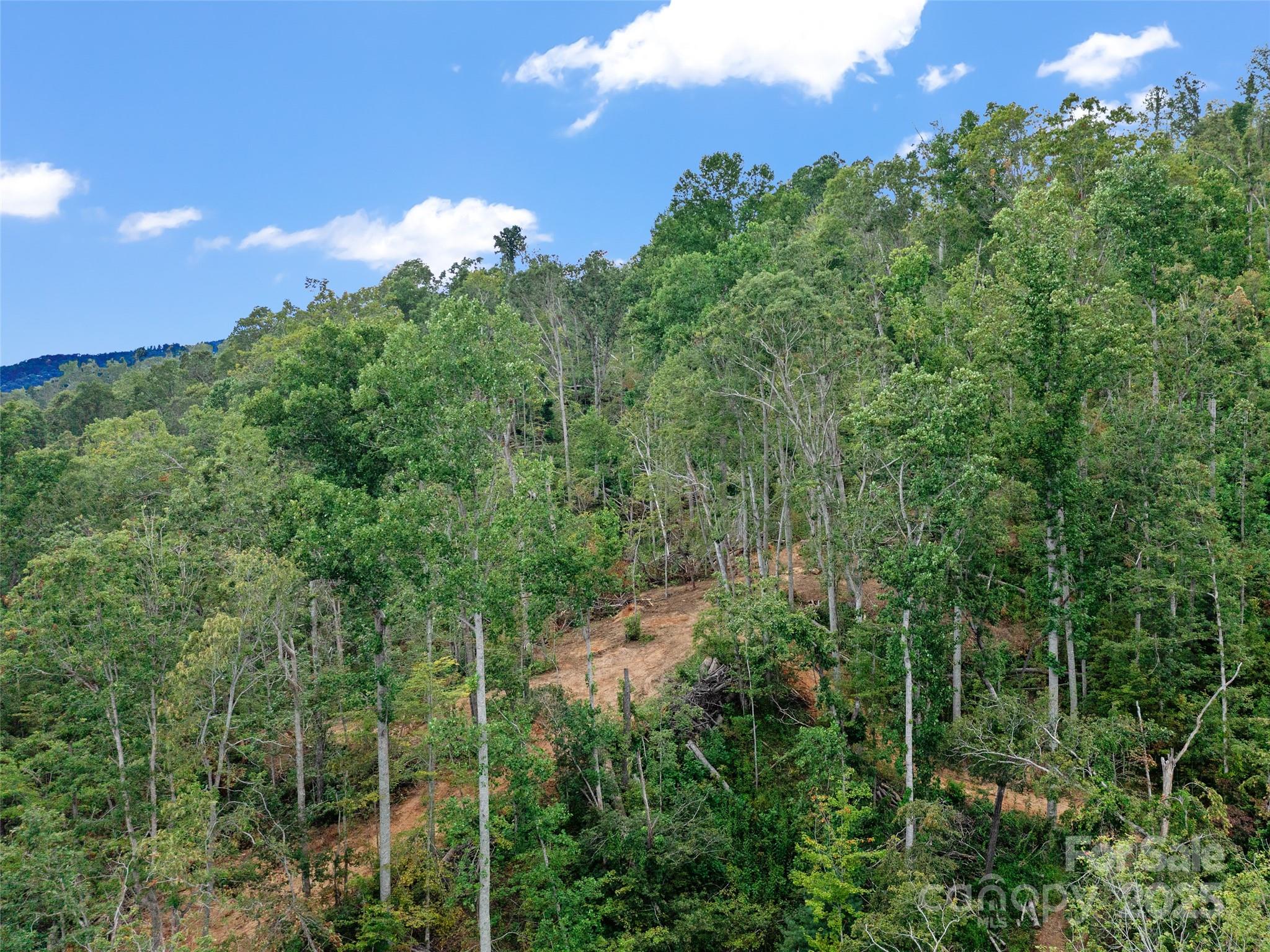 99999 Youngs Gap Road South Lot Property Photo 26