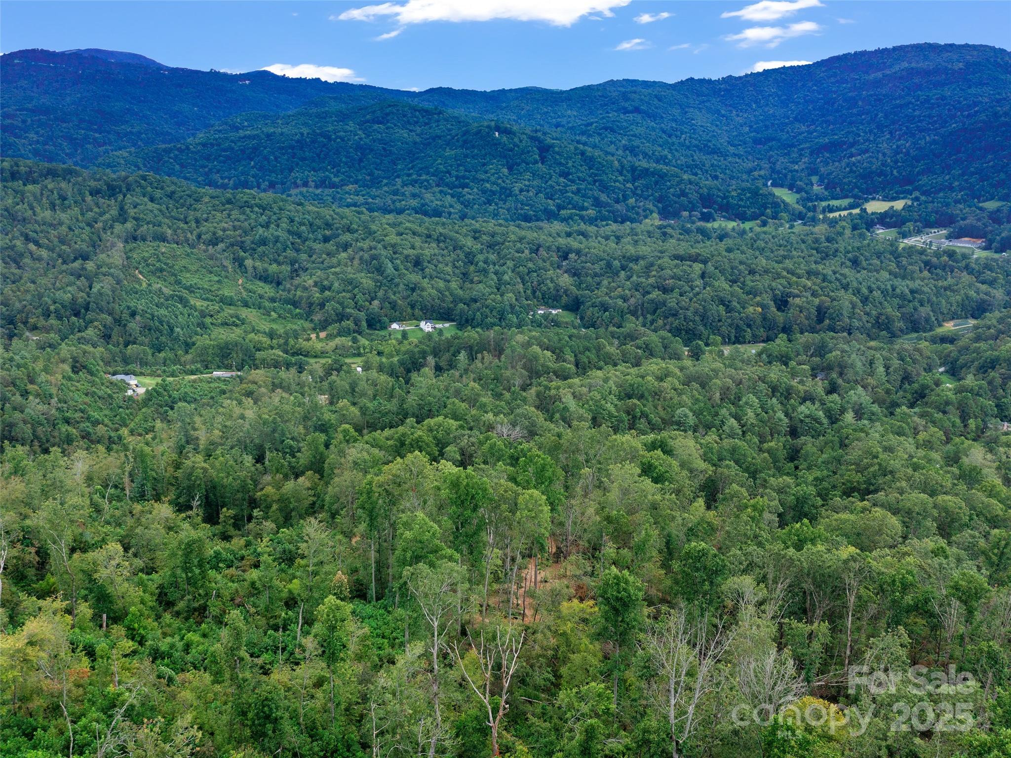 99999 Youngs Gap Road South Lot Property Photo 27