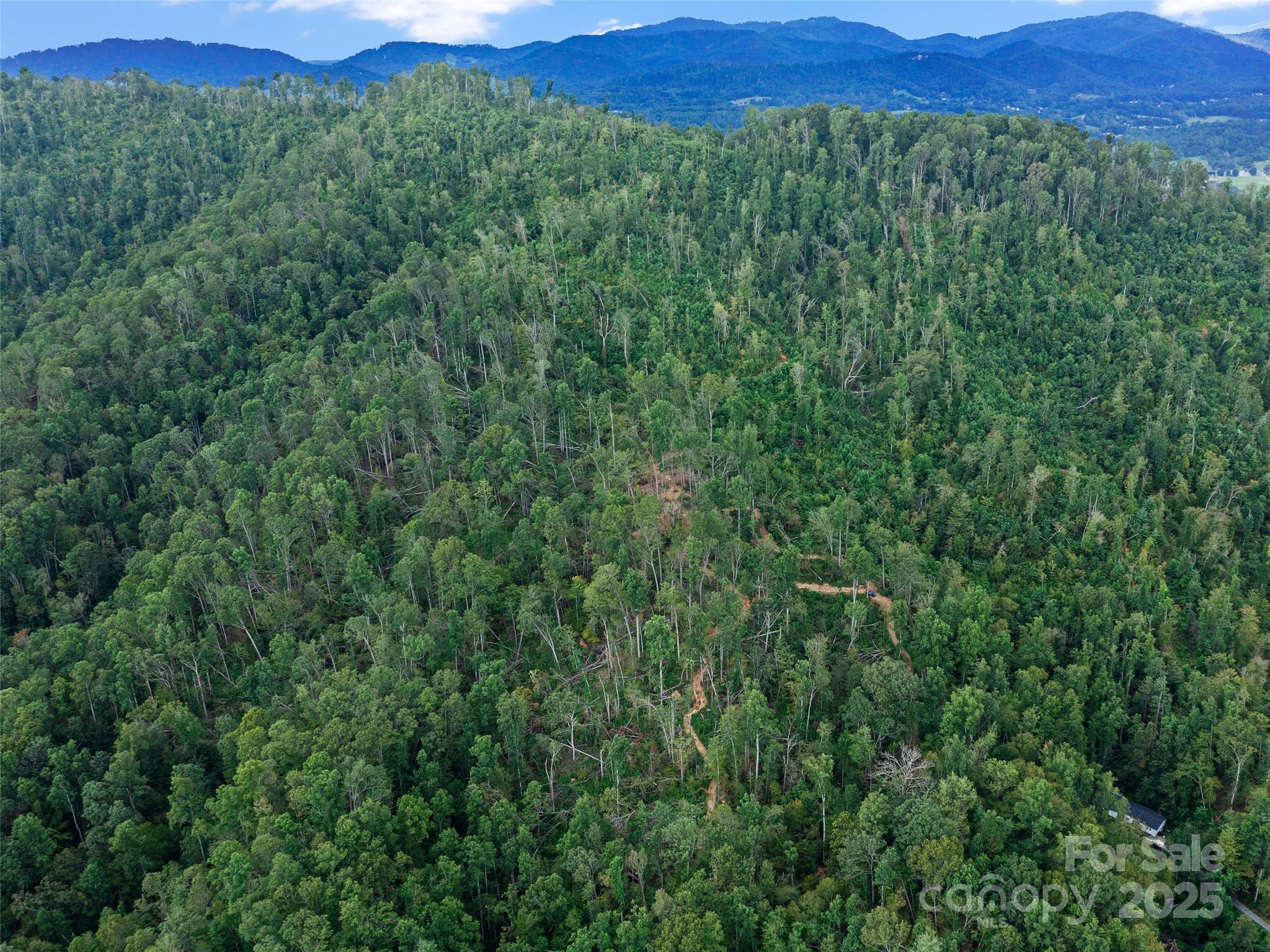 99999 Youngs Gap Road South Lot Property Photo 28