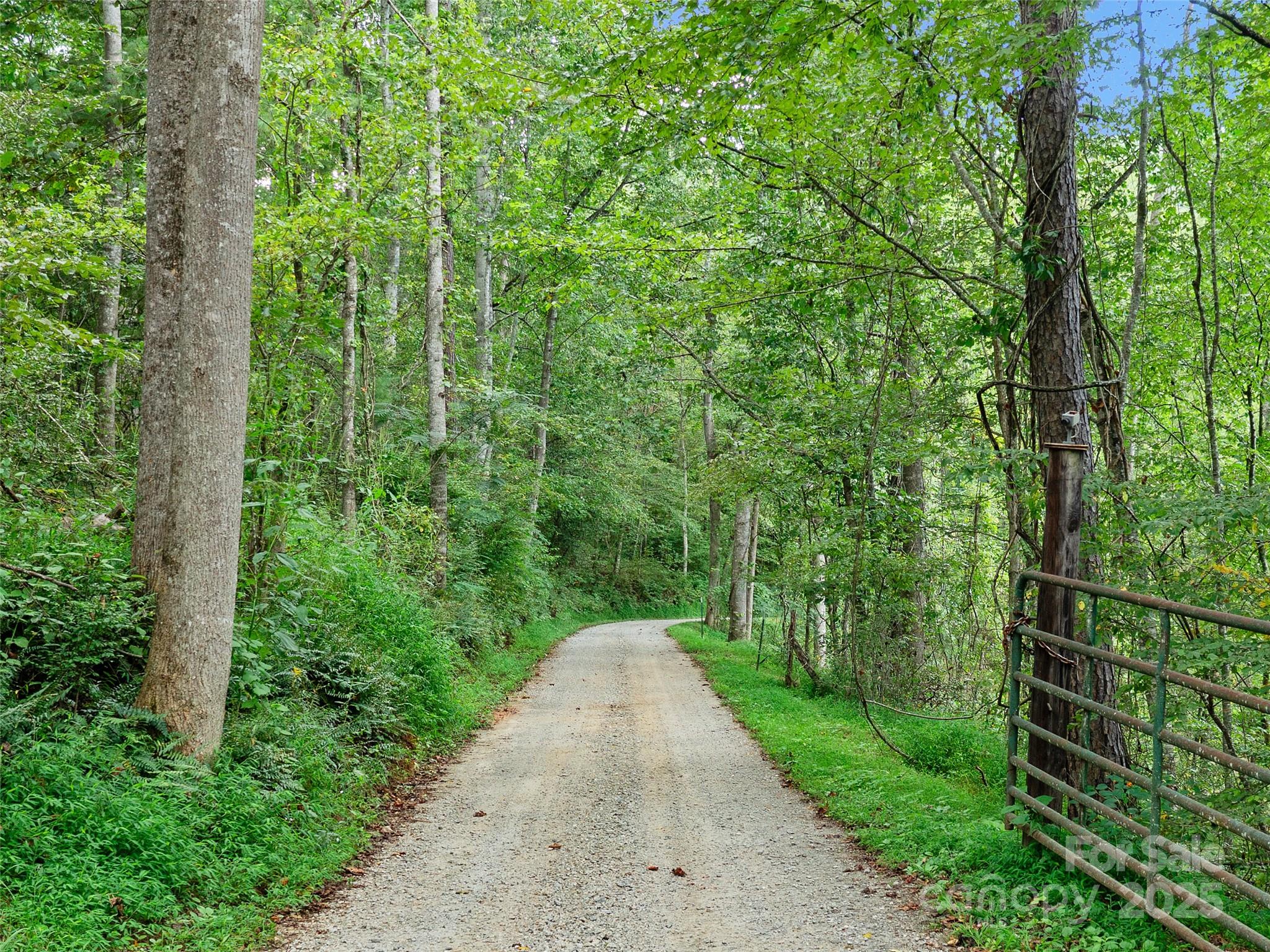 99999 Youngs Gap Road South Lot Property Photo 31
