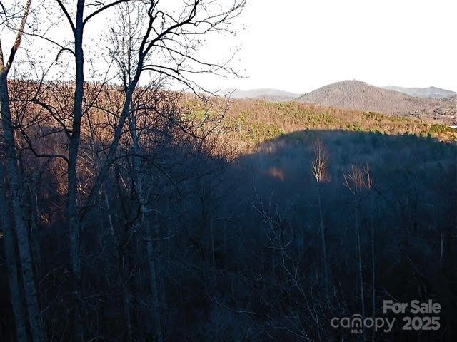 52 Hope View Road Property Photo 3