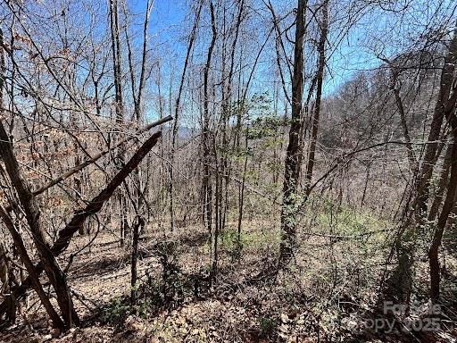 52 Hope View Road Property Photo 5