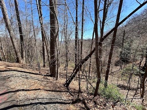 52 Hope View Road Property Photo 6