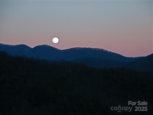 52 Hope View Road Property Photo 15