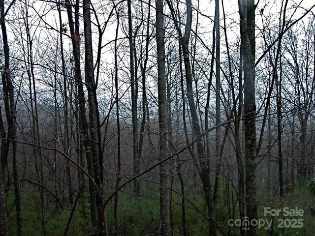 52 Hope View Road Property Photo 16