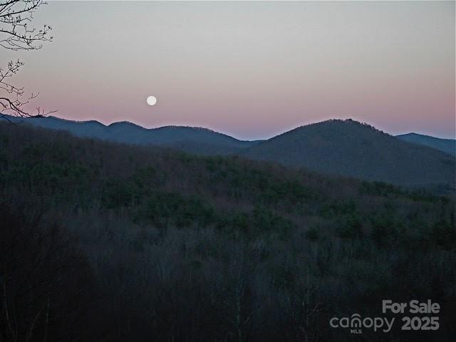 52 Hope View Road Property Photo 18