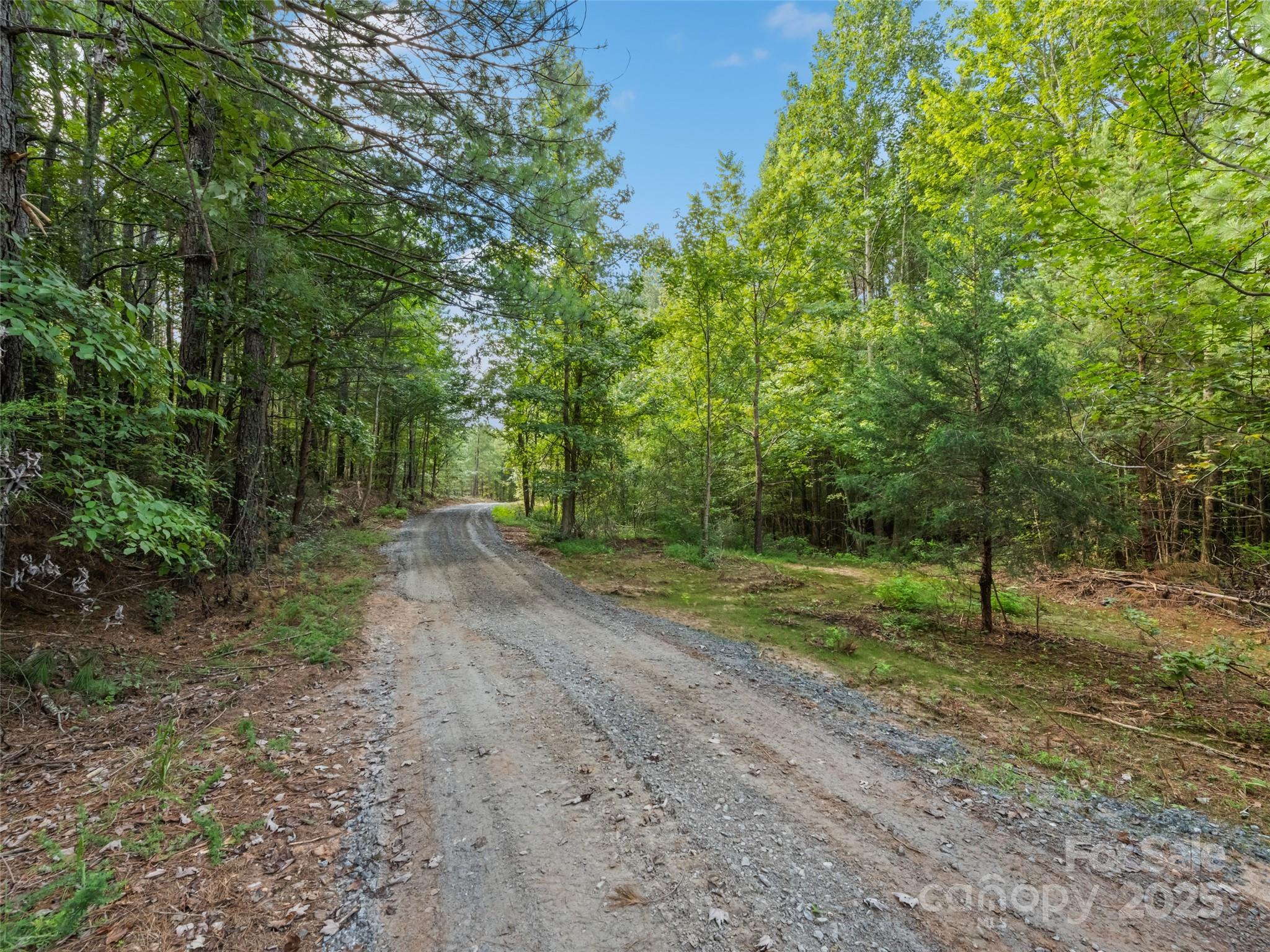 0000 Bostic Sunshine Highway Property Photo 7
