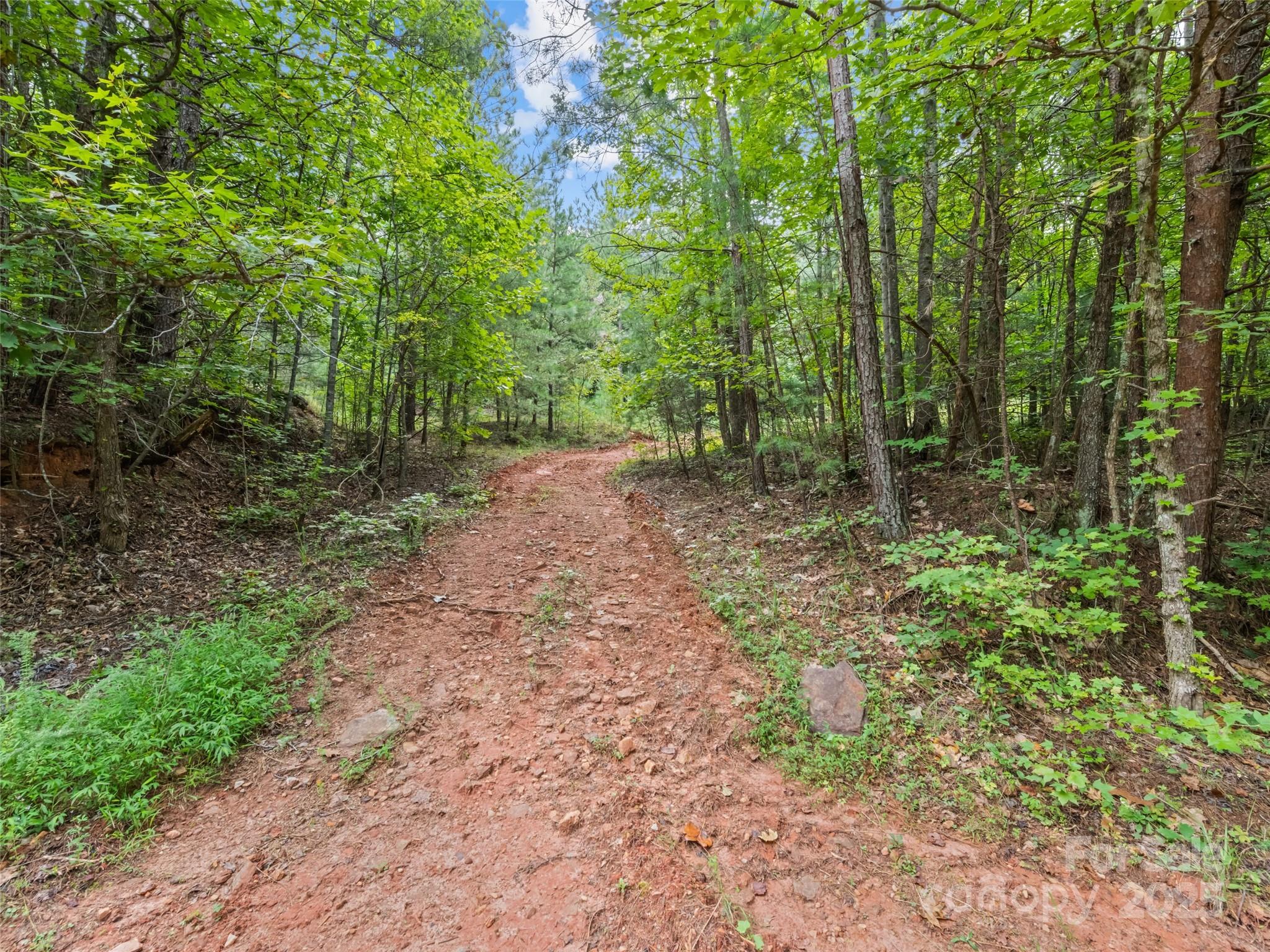 0000 Bostic Sunshine Highway Property Photo 10