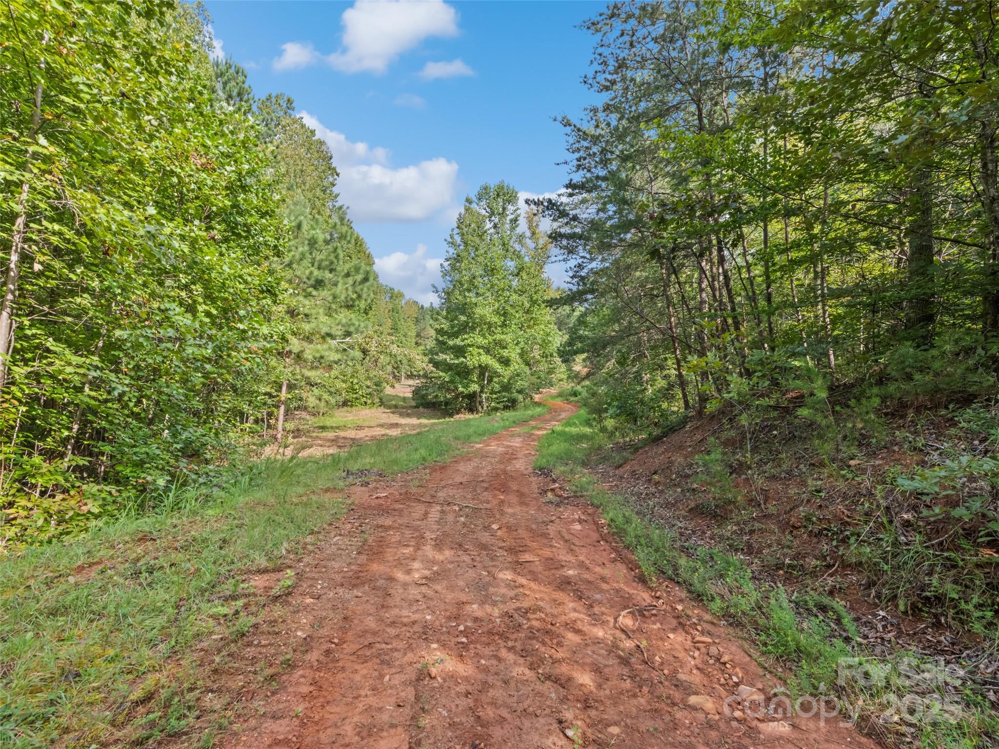 0000 Bostic Sunshine Highway Property Photo 11