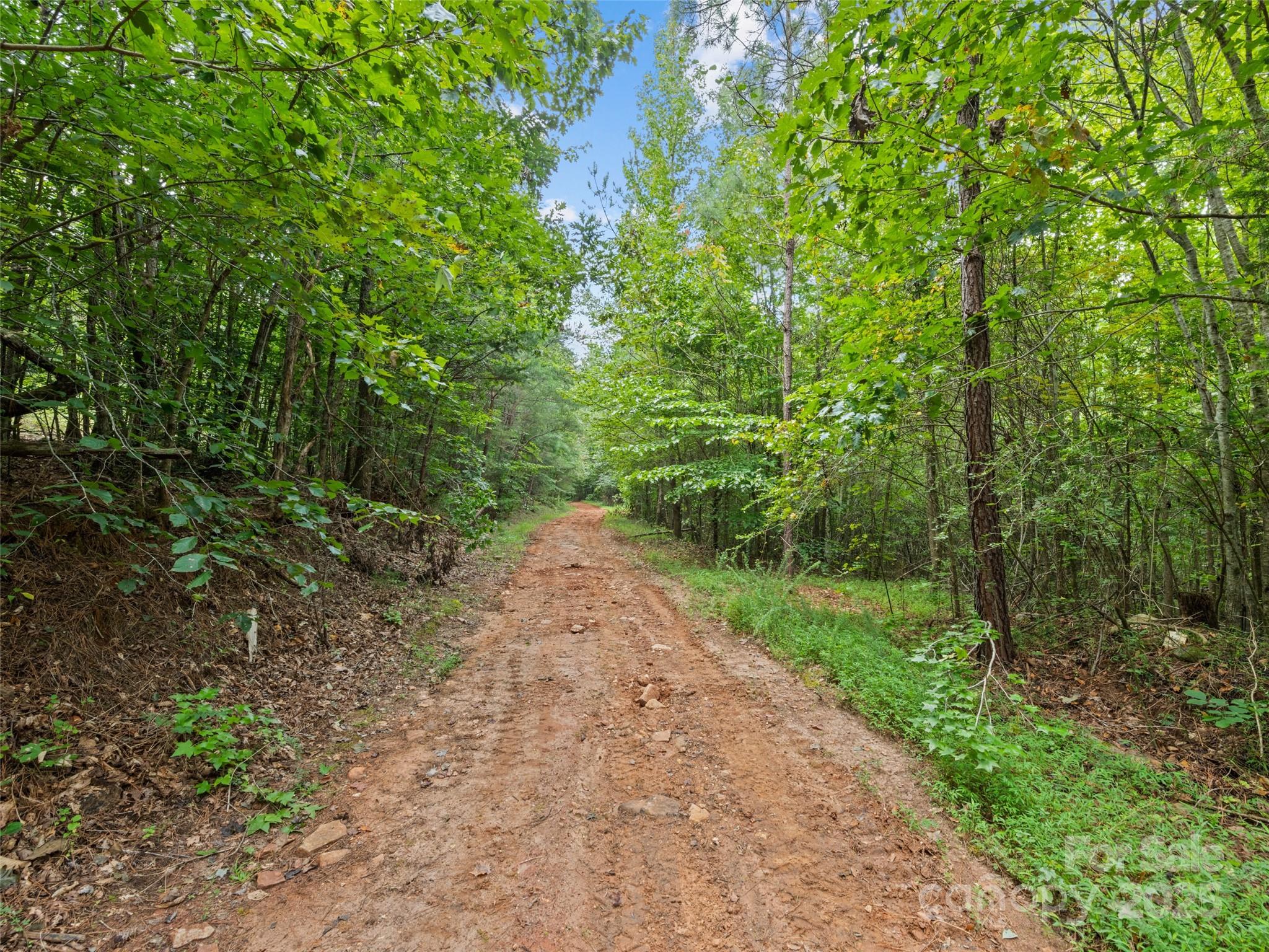 0000 Bostic Sunshine Highway Property Photo 12