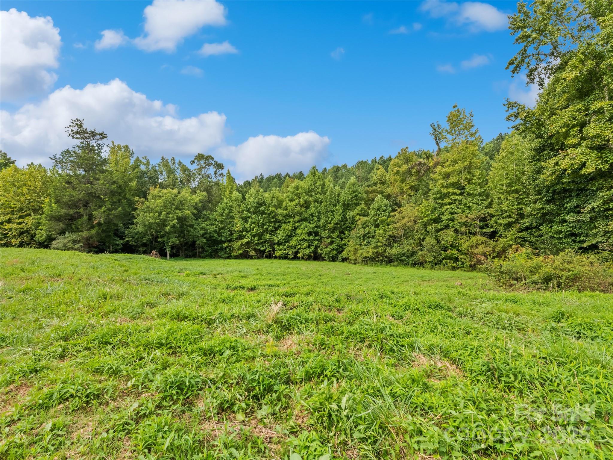 0000 Bostic Sunshine Highway Property Photo 15