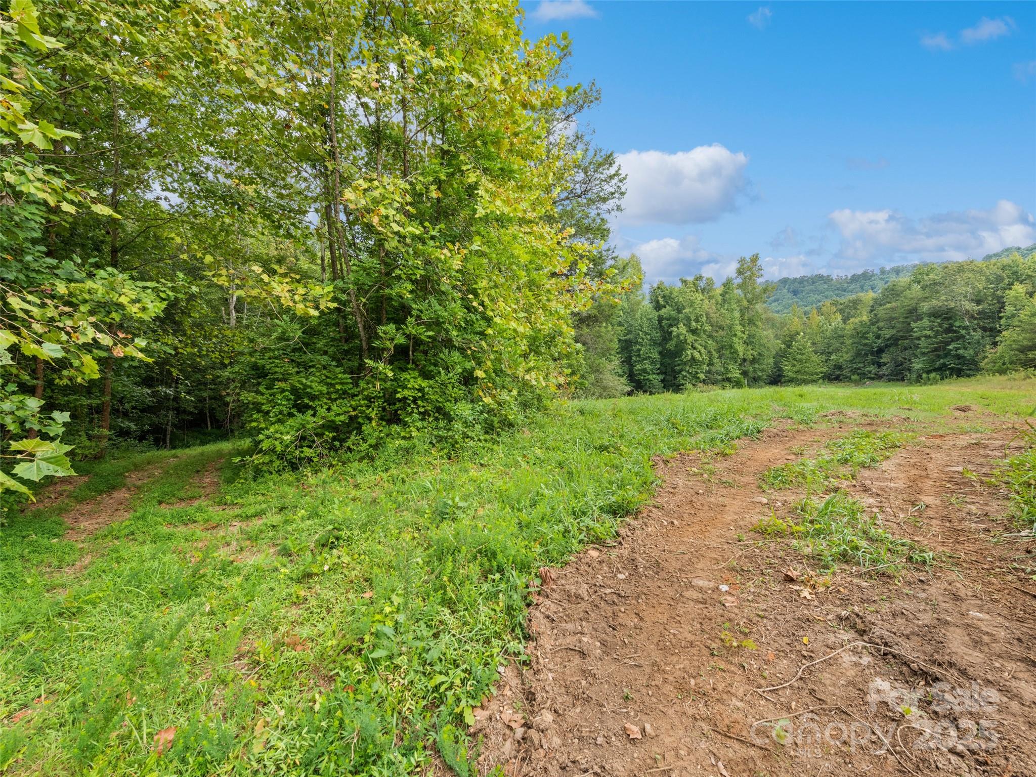 0000 Bostic Sunshine Highway Property Photo 16