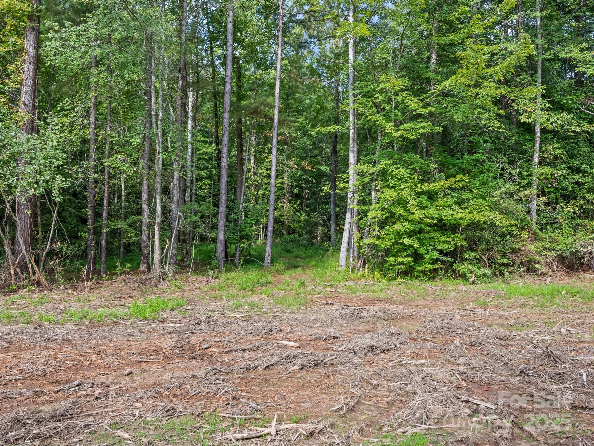 0000 Bostic Sunshine Highway Property Photo 18