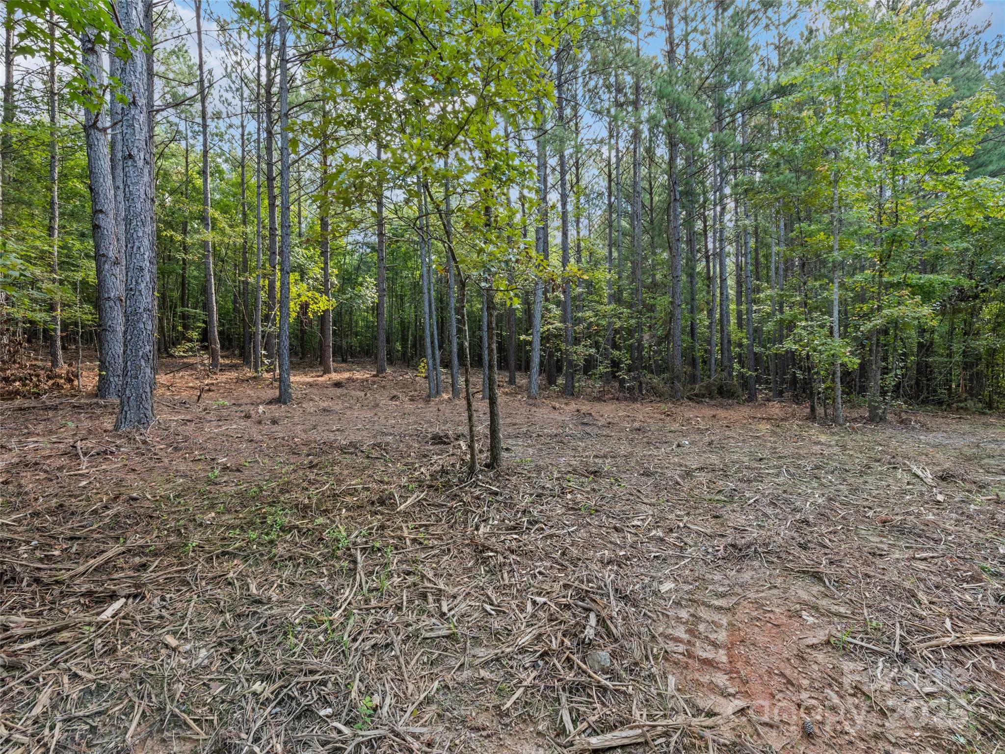 0000 Bostic Sunshine Highway Property Photo 19
