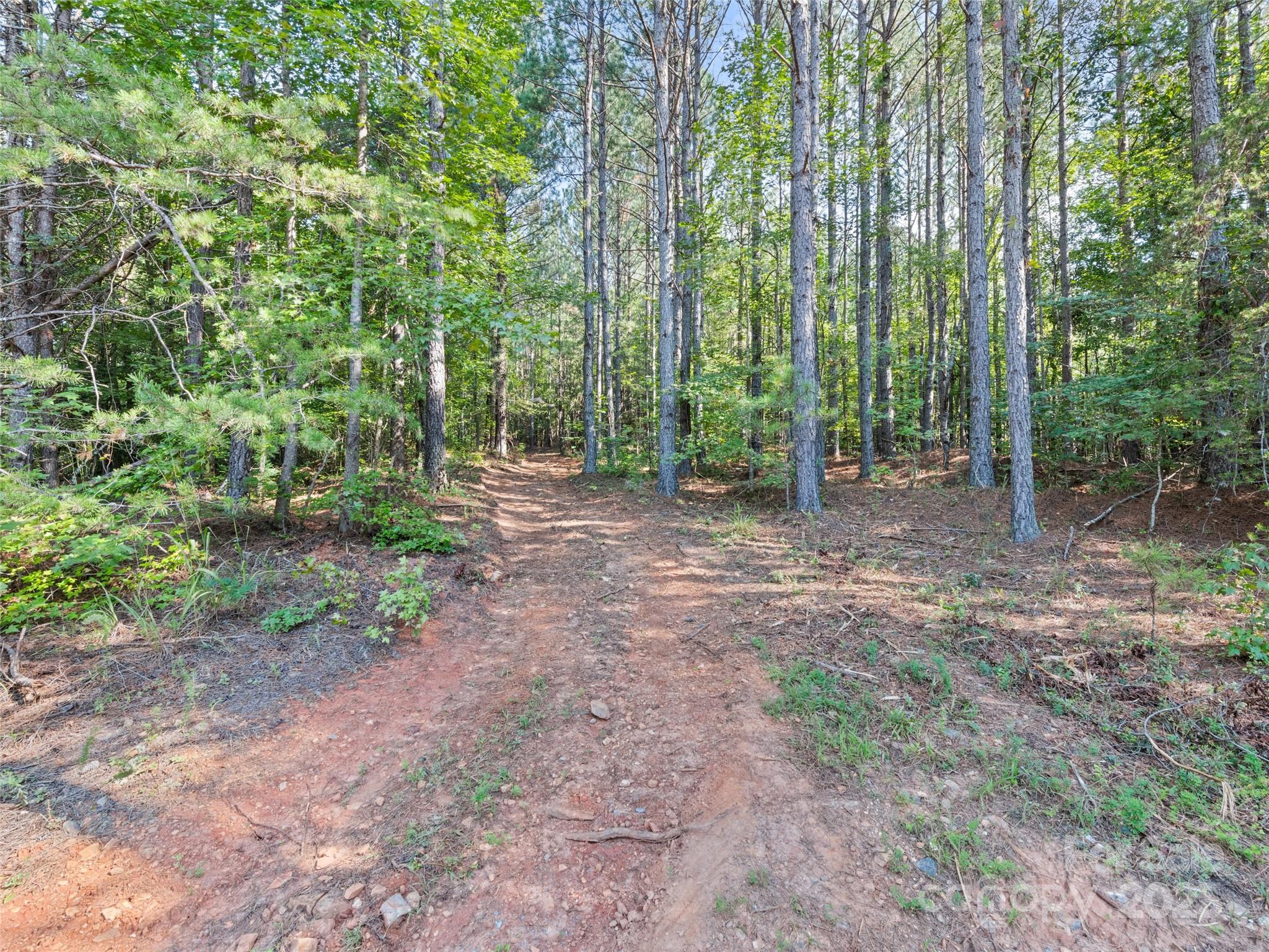 0000 Bostic Sunshine Highway Property Photo 20