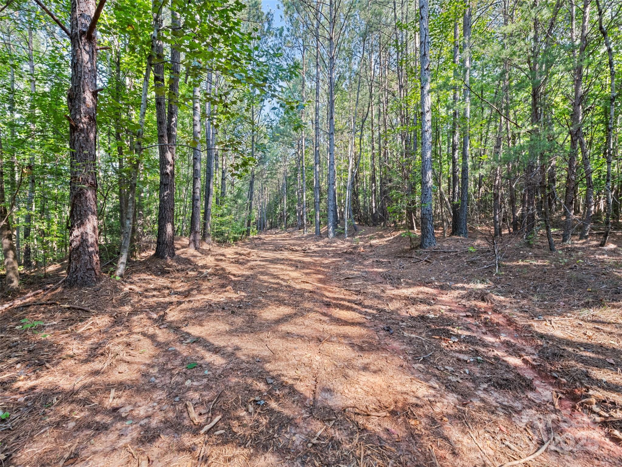 0000 Bostic Sunshine Highway Property Photo 21