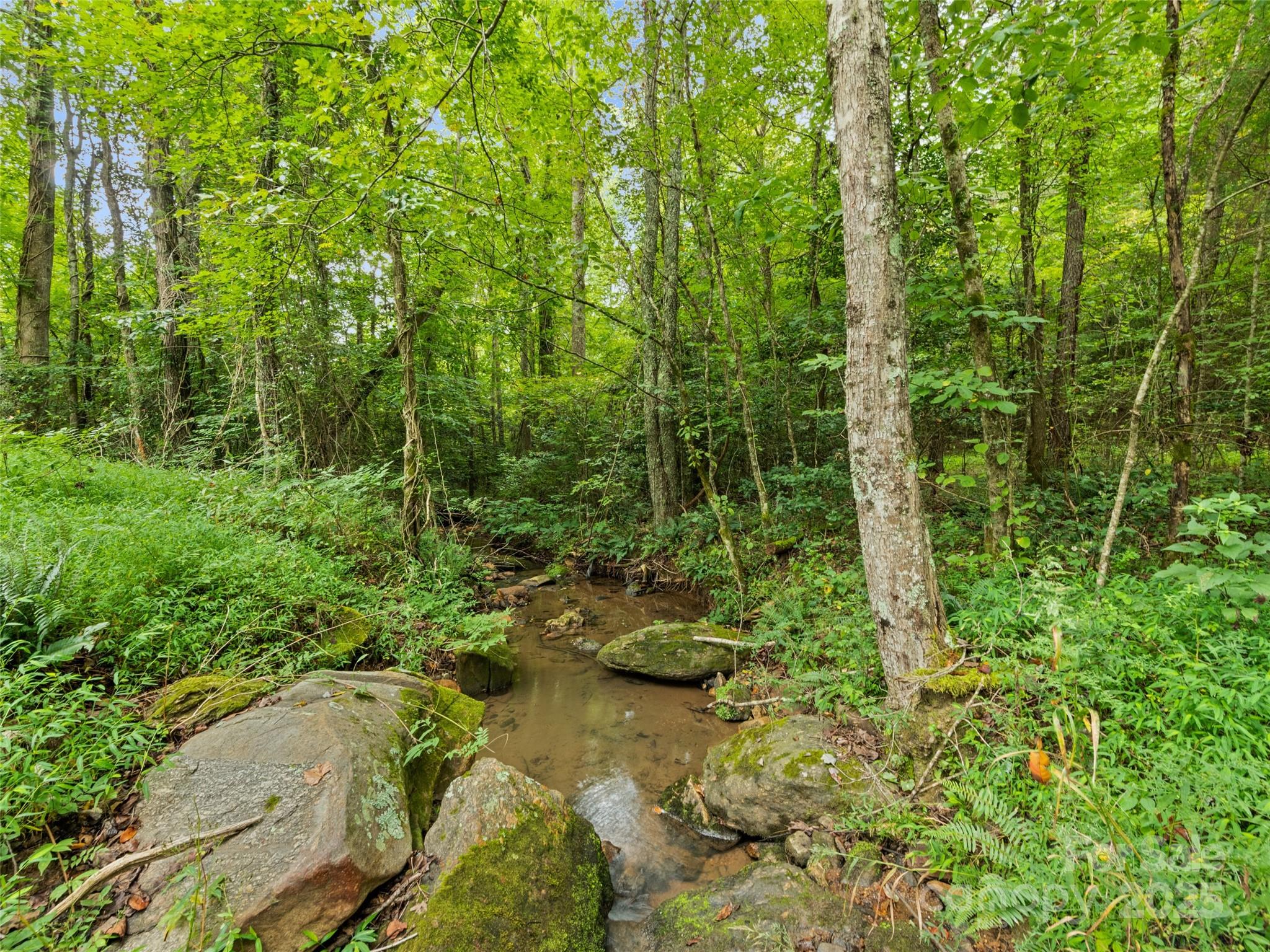 0000 Bostic Sunshine Highway Property Photo 22