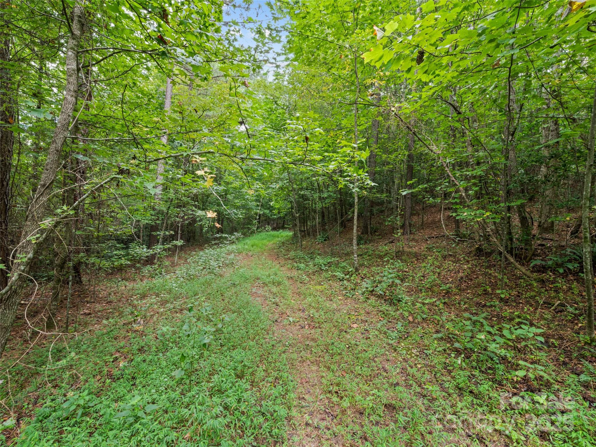 0000 Bostic Sunshine Highway Property Photo 24