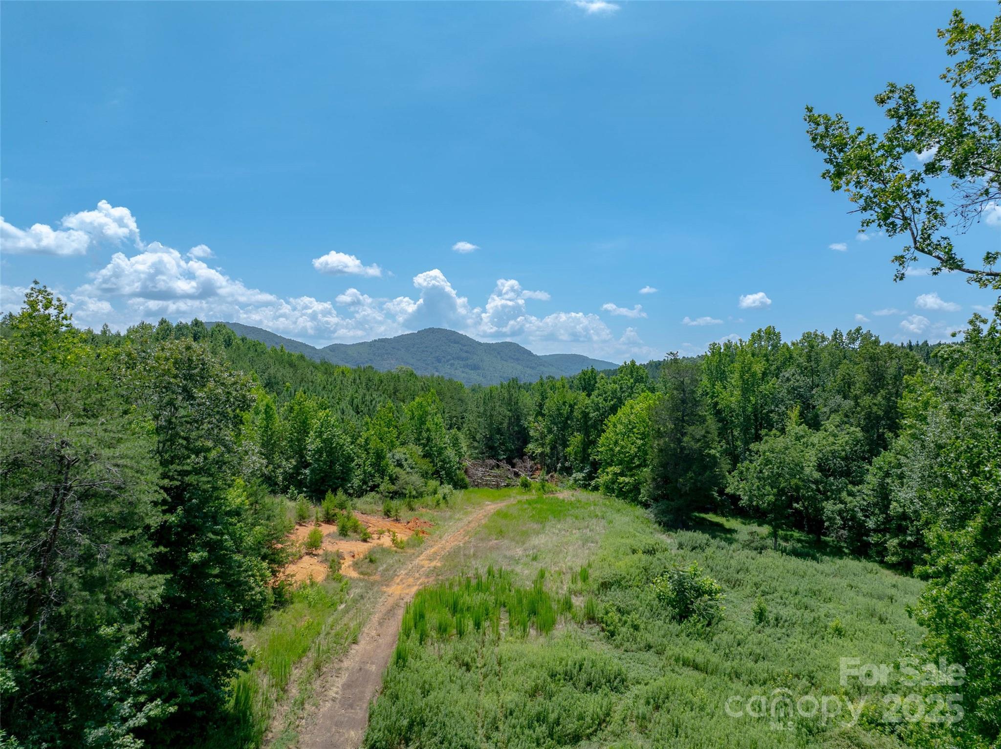 0000 Bostic Sunshine Highway Property Photo 29