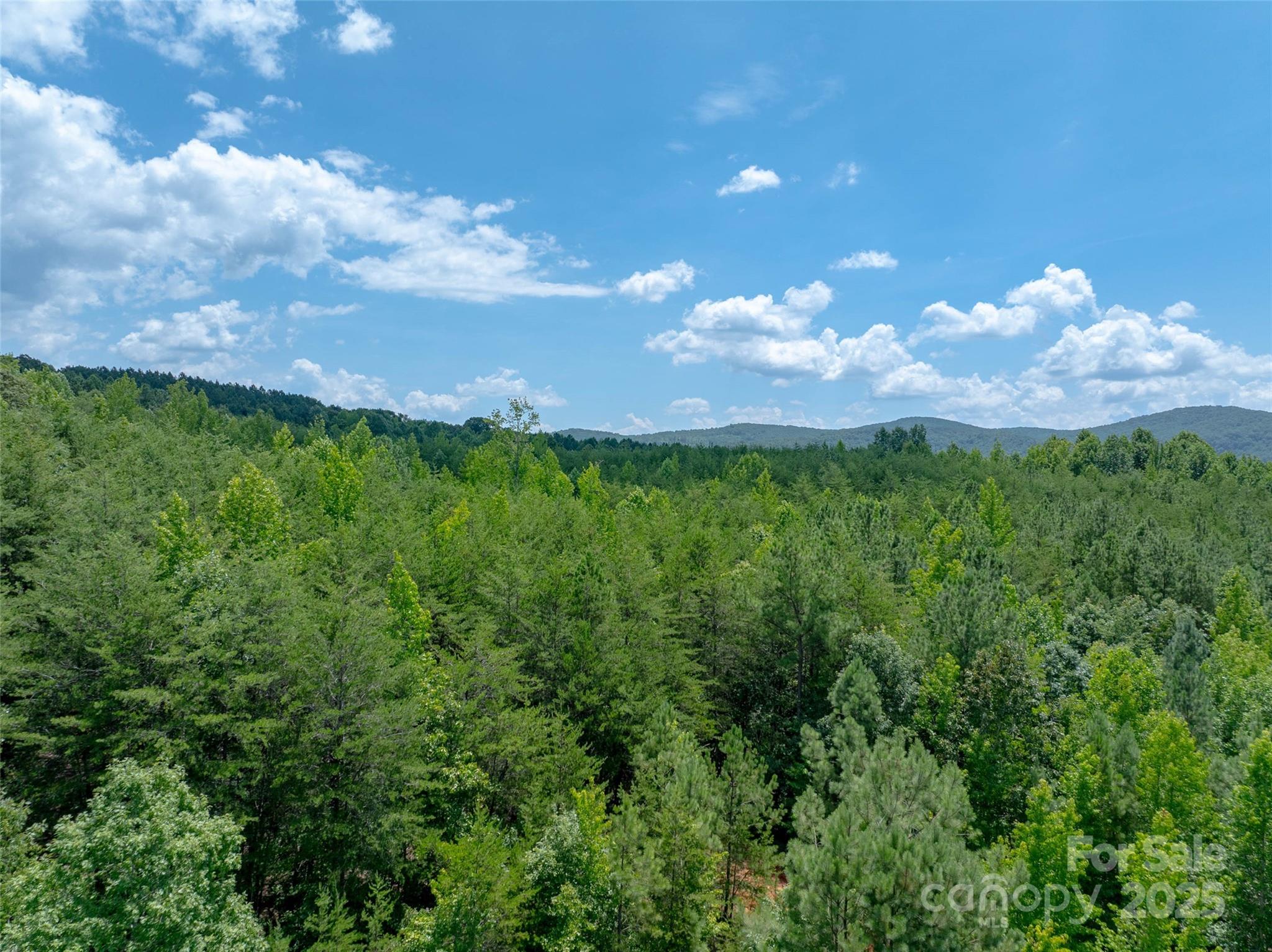 0000 Bostic Sunshine Highway Property Photo 30
