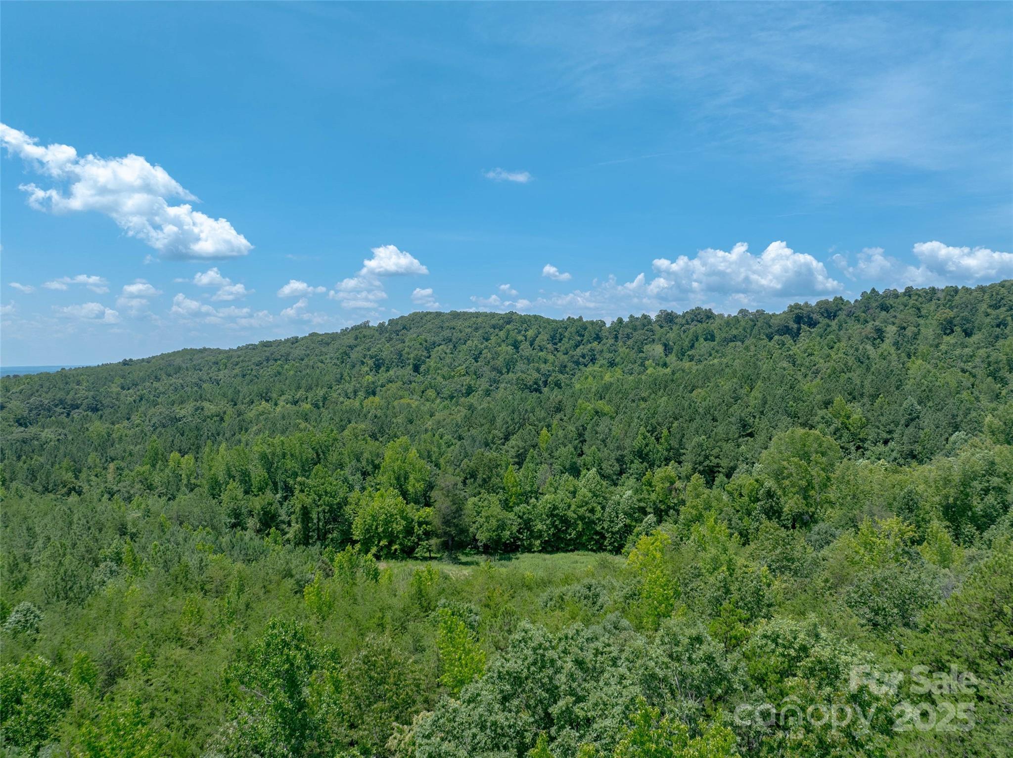 0000 Bostic Sunshine Highway Property Photo 31