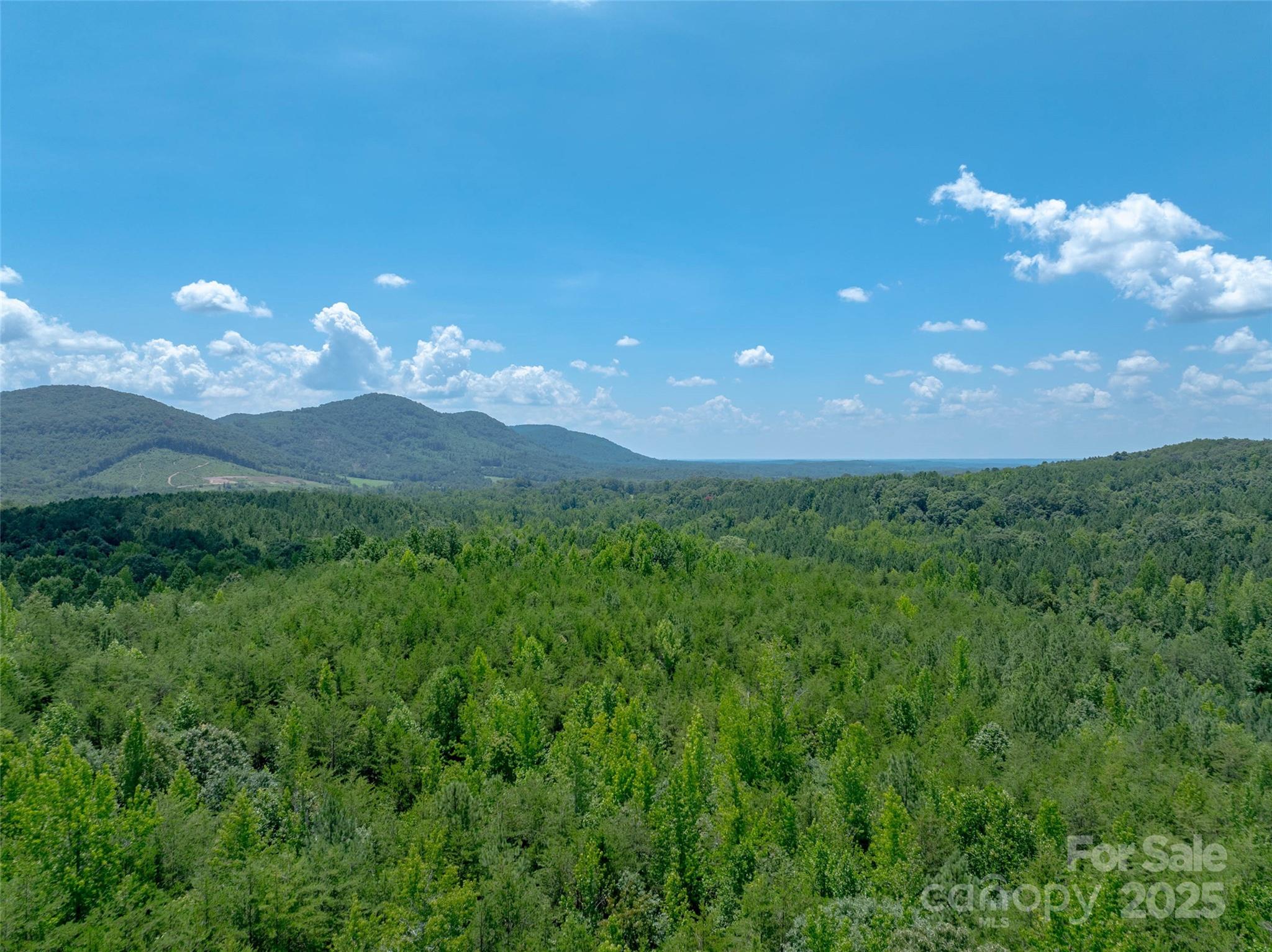 0000 Bostic Sunshine Highway Property Photo 32