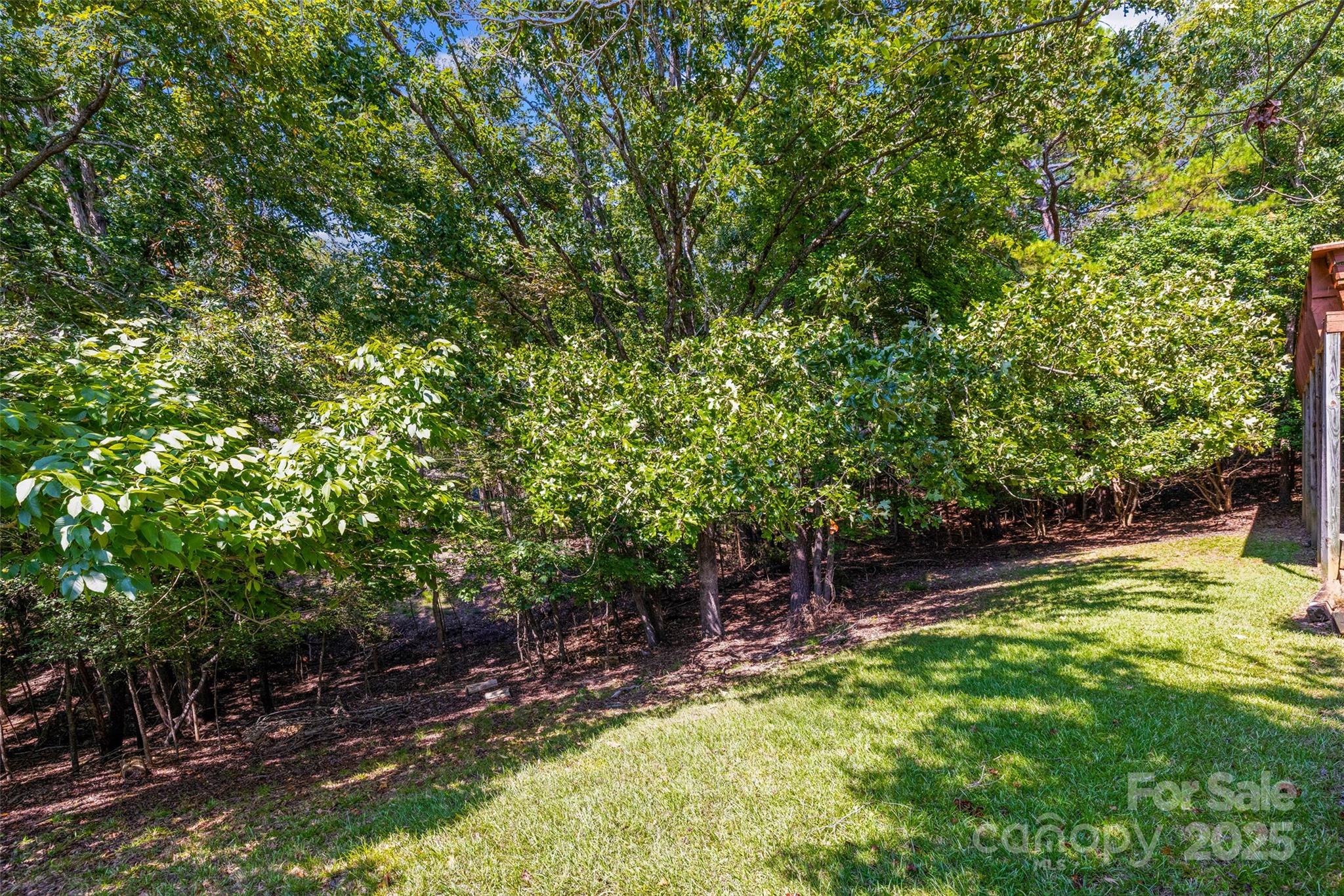 25011 Club View Drive Property Photo 31