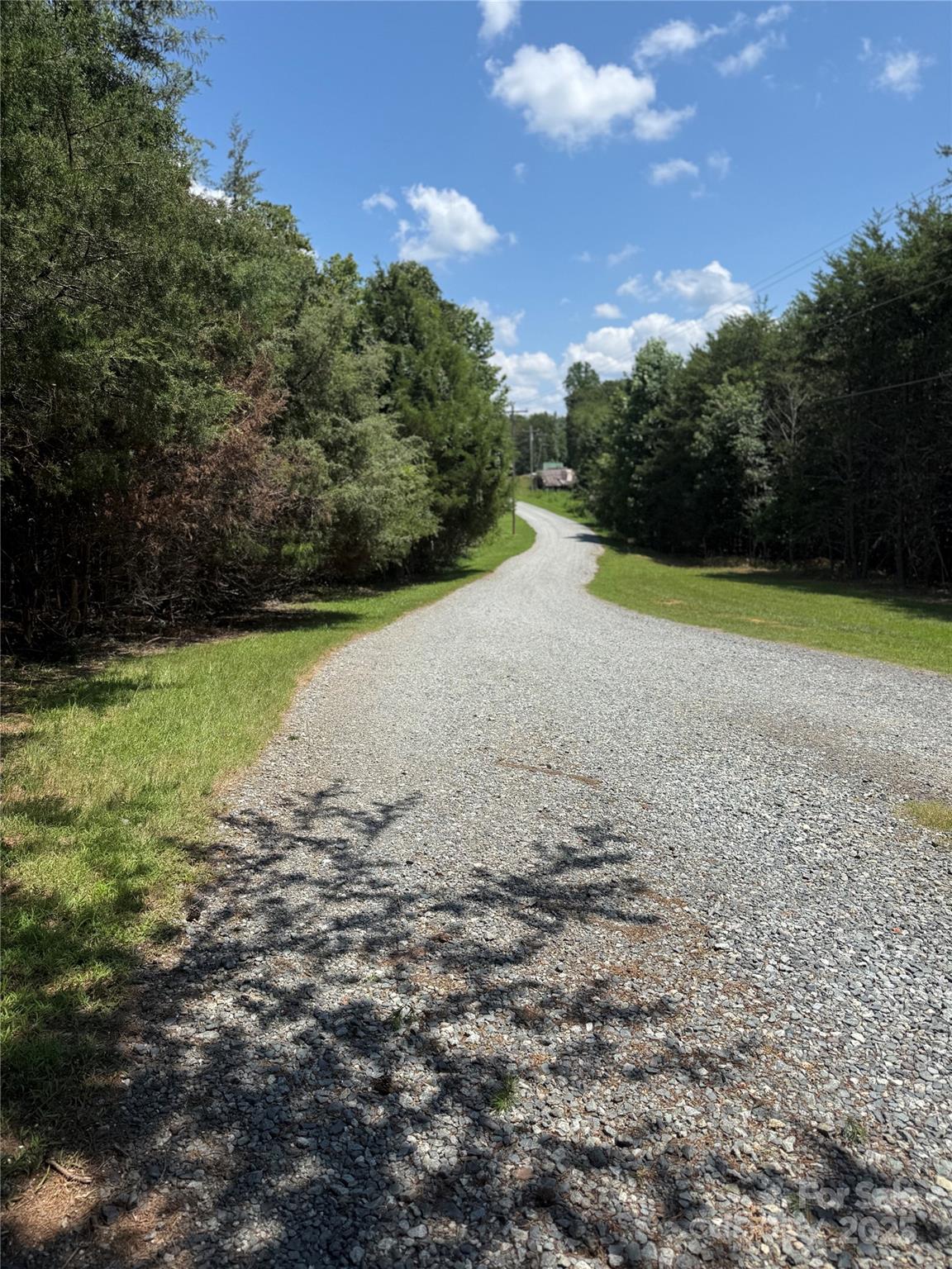 0 Pine River Trail Property Photo 5