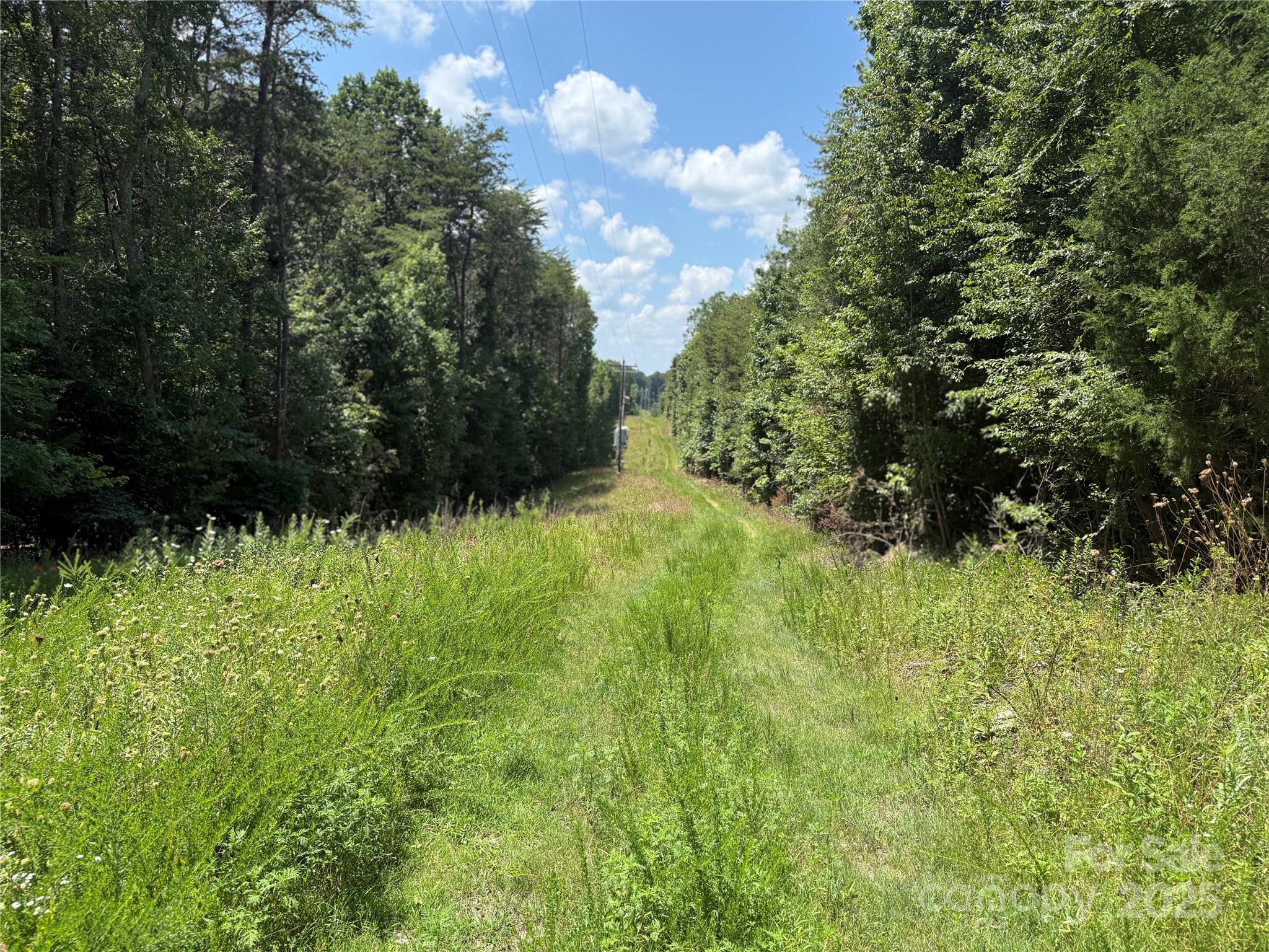 438 Pine River Trail Property Photo 4