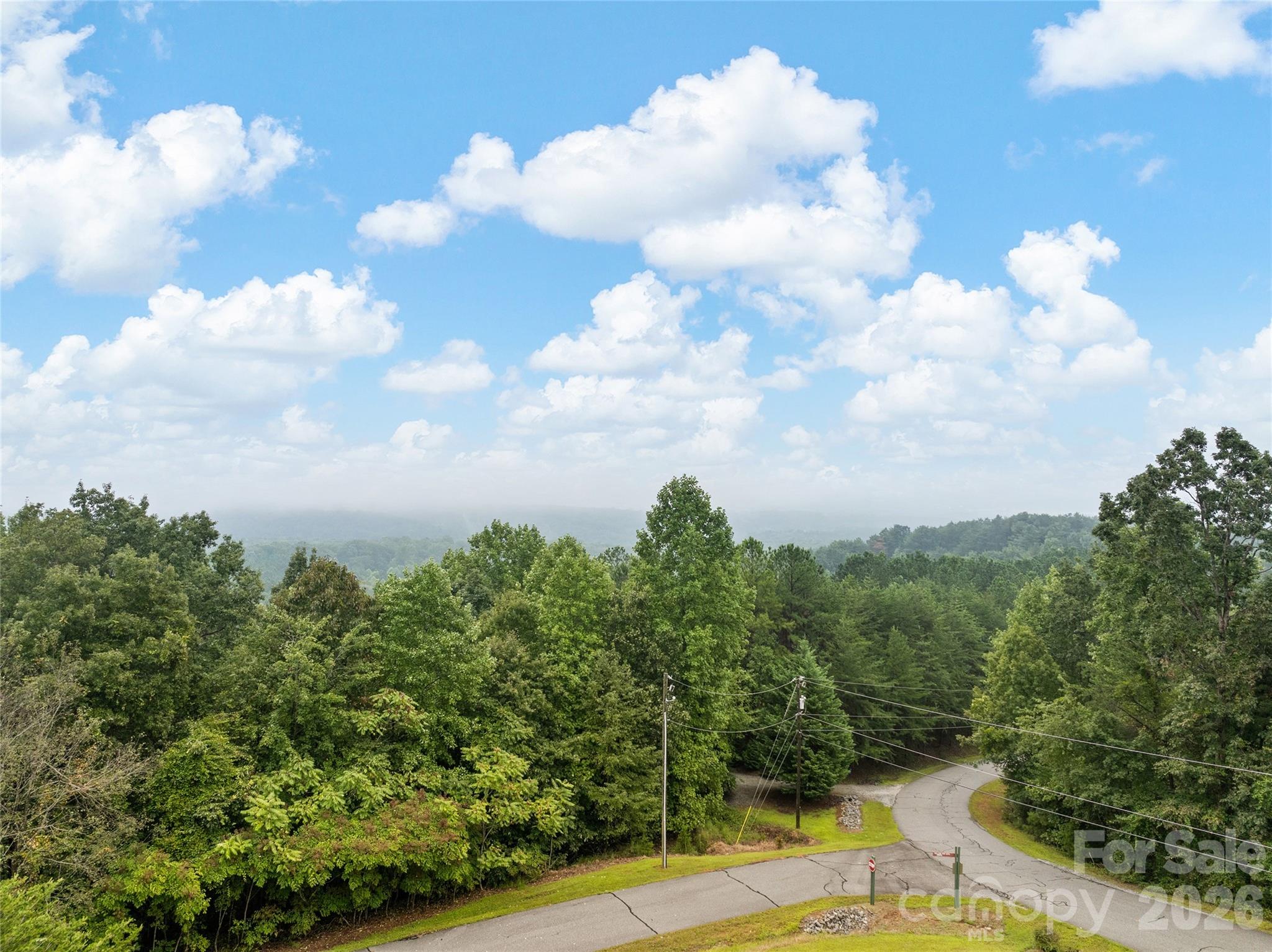 352 Arbra Mountain Way Property Photo 9