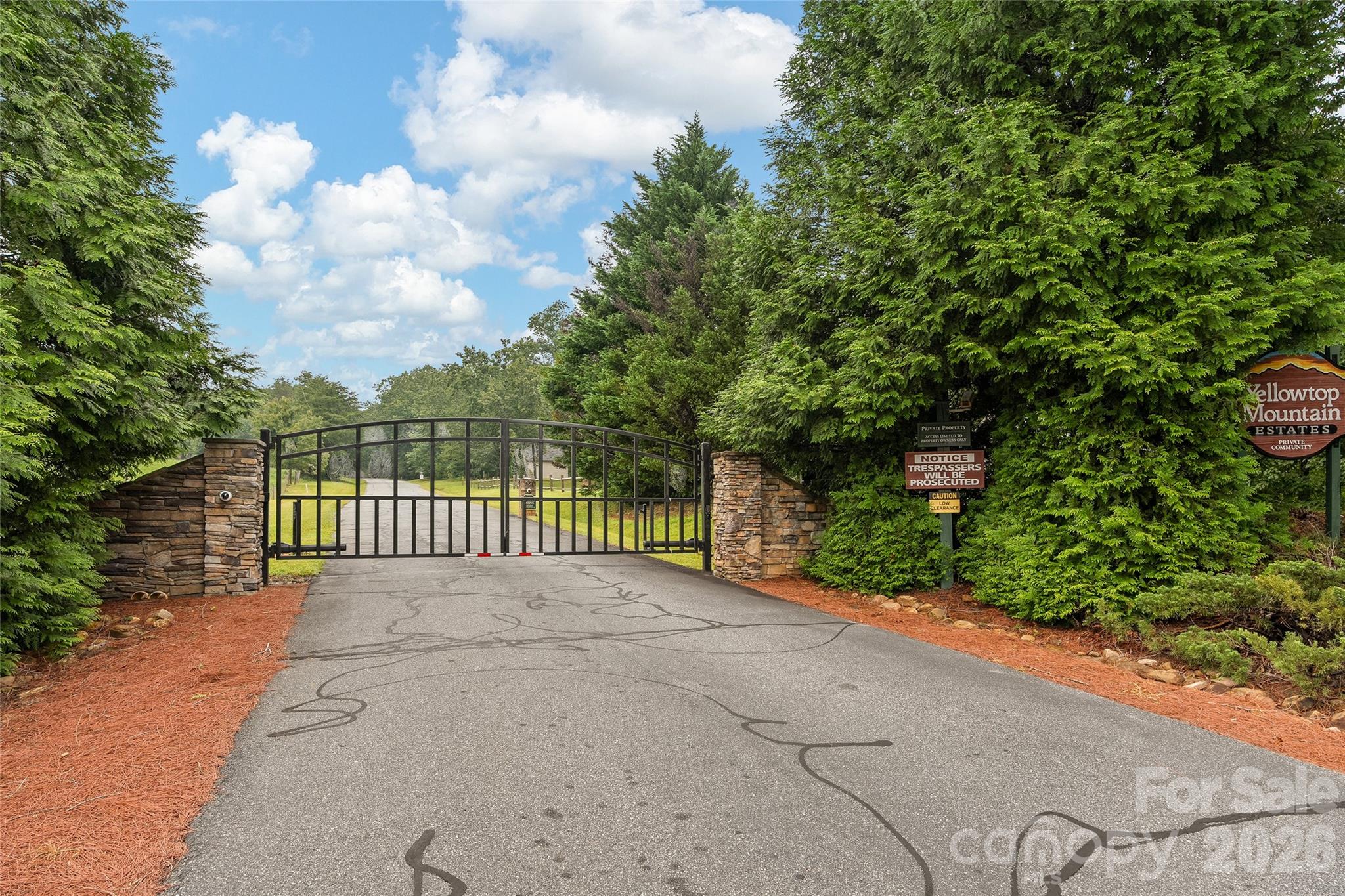 352 Arbra Mountain Way Property Photo 30