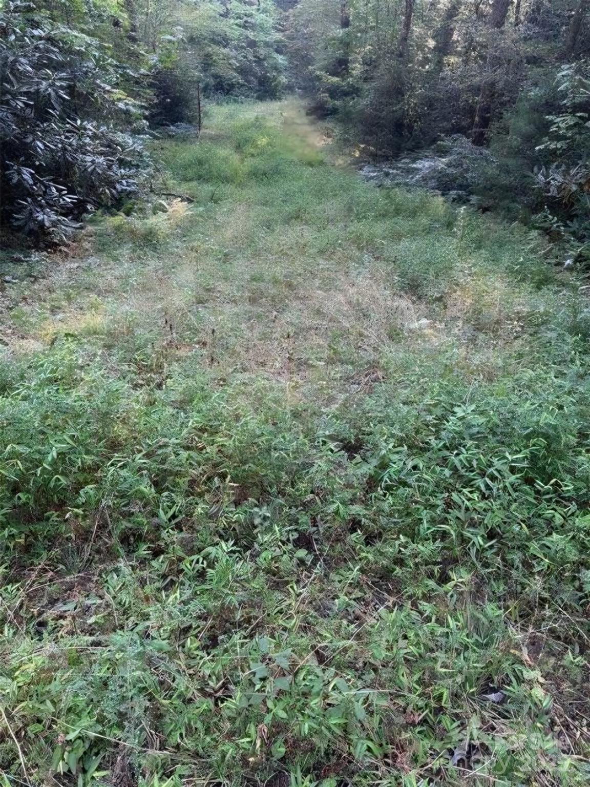 00 Beaumont Drive Property Photo 3