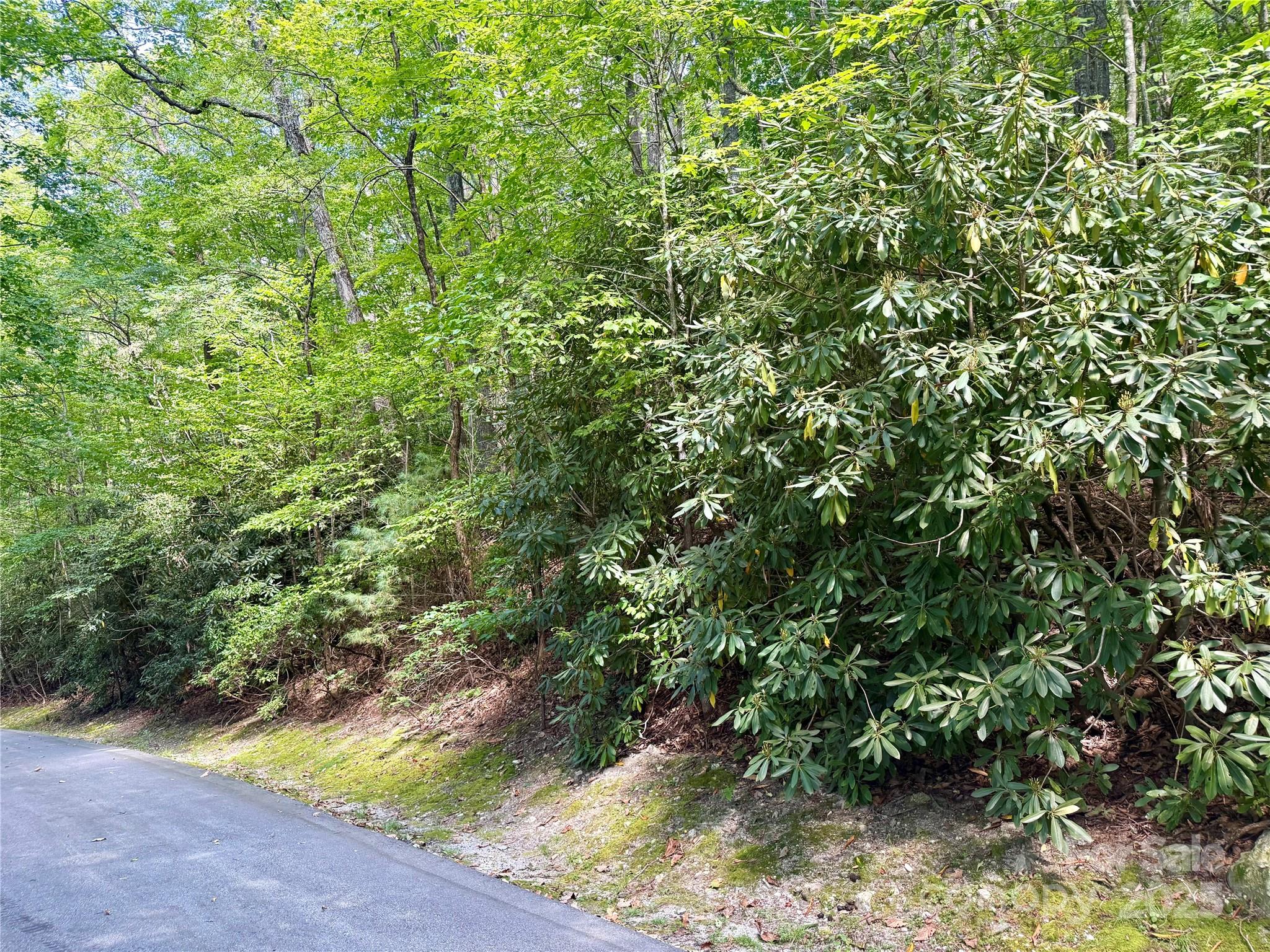 115 Black Oak Drive Property Photo 1