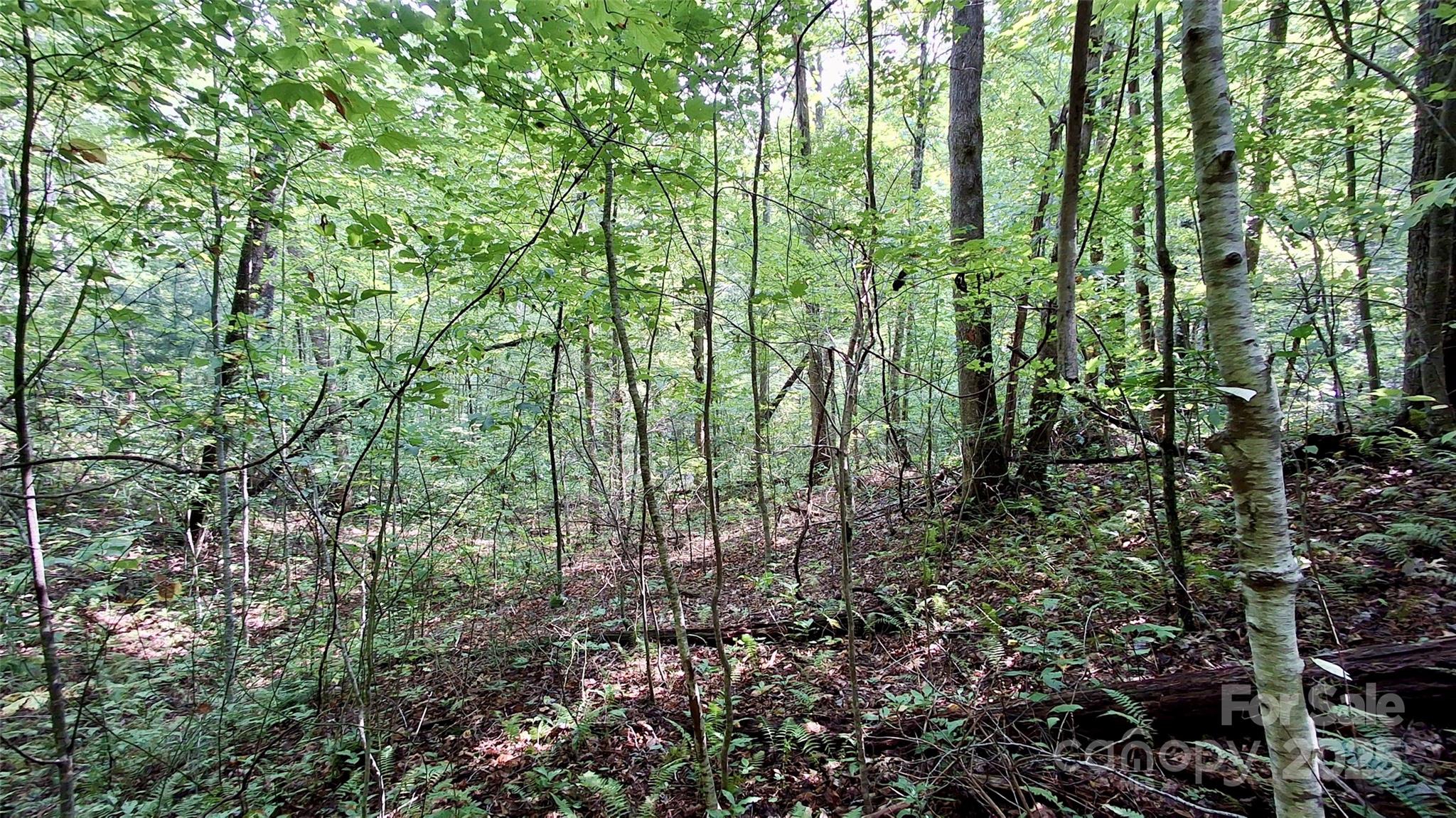 0 Cross Creek Circle Property Photo 1