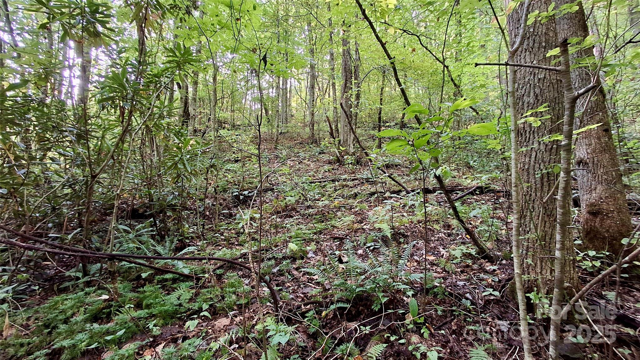 0 Cross Creek Circle Property Photo 2