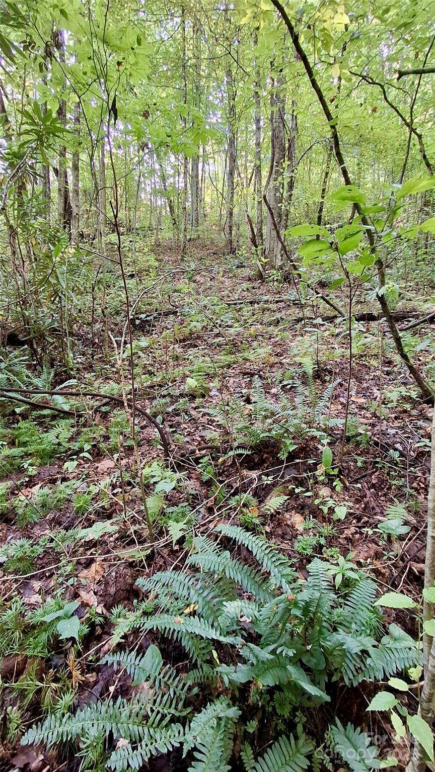 0 Cross Creek Circle Property Photo 3