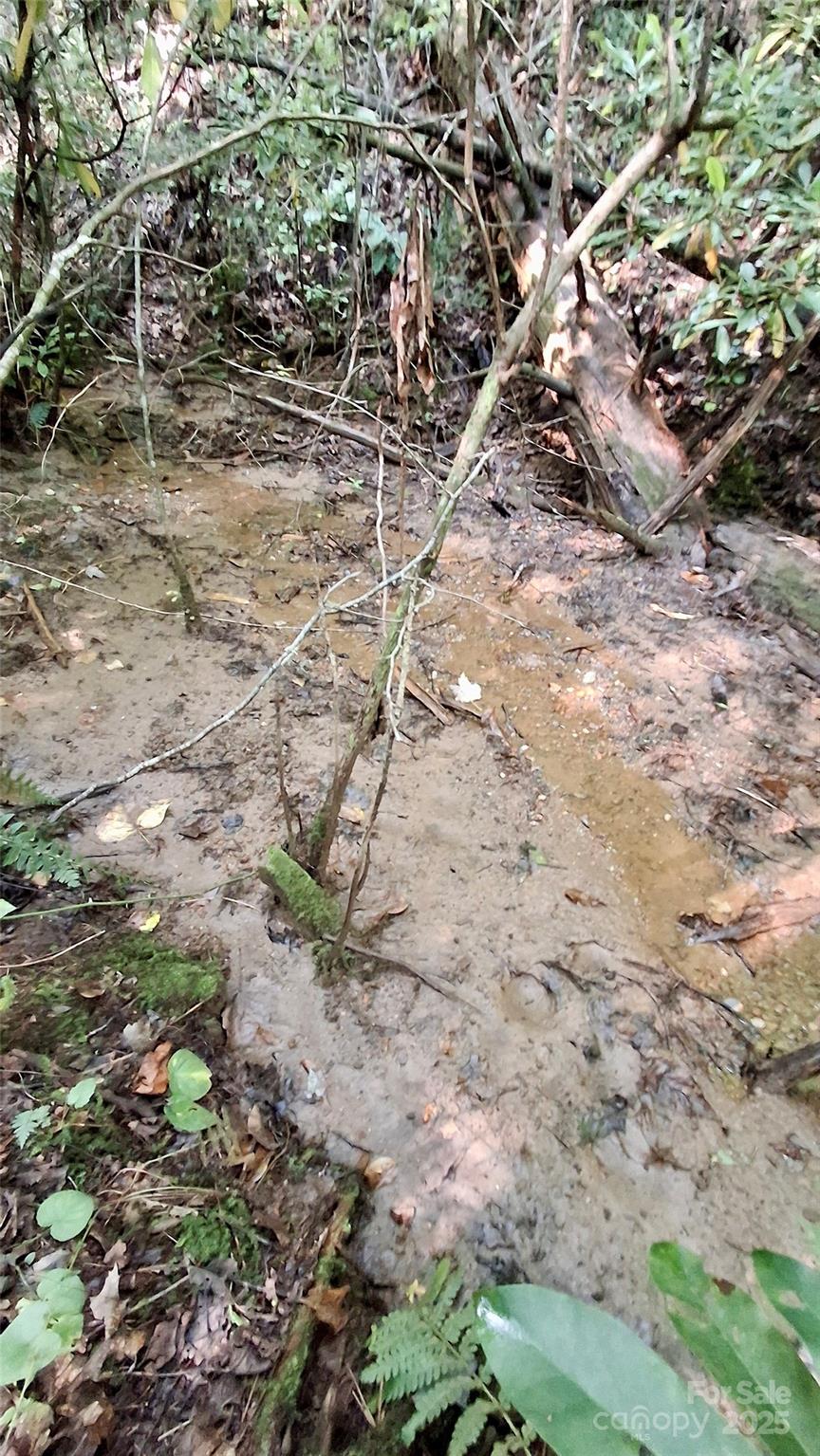 0 Cross Creek Circle Property Photo 4