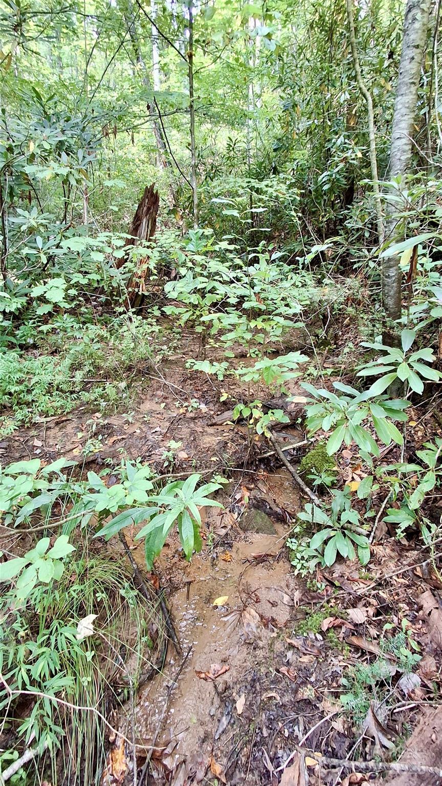 0 Cross Creek Circle Property Photo 6