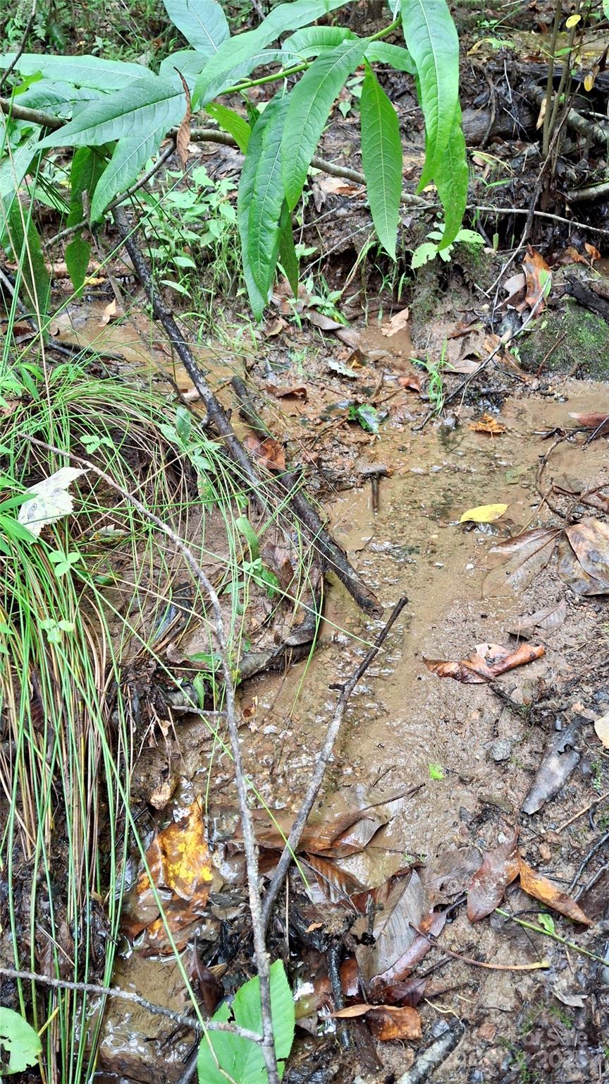 0 Cross Creek Circle Property Photo 7