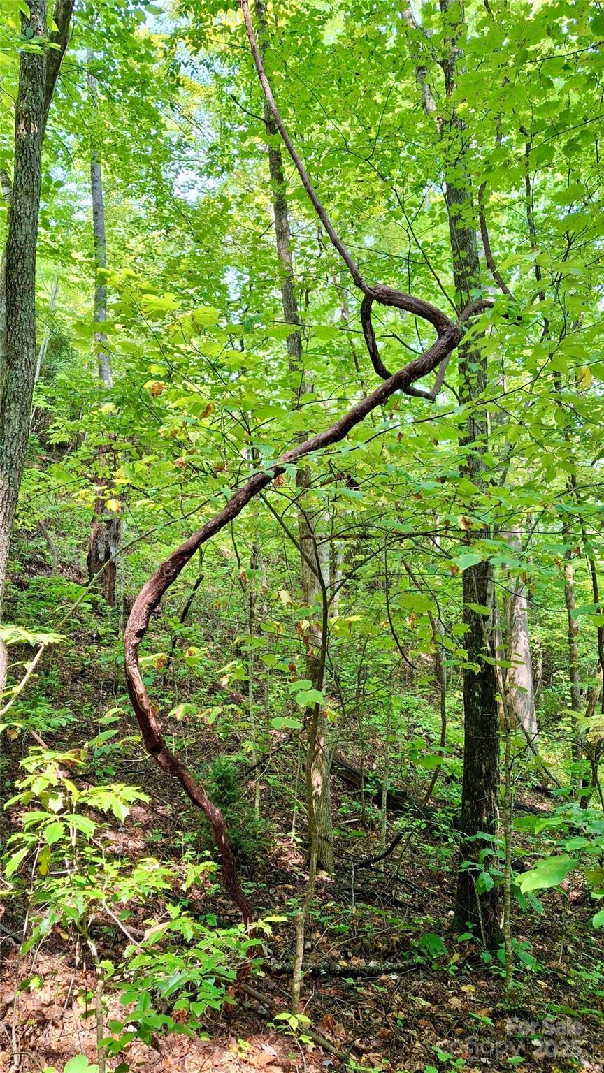 0 Cross Creek Circle Property Photo 8